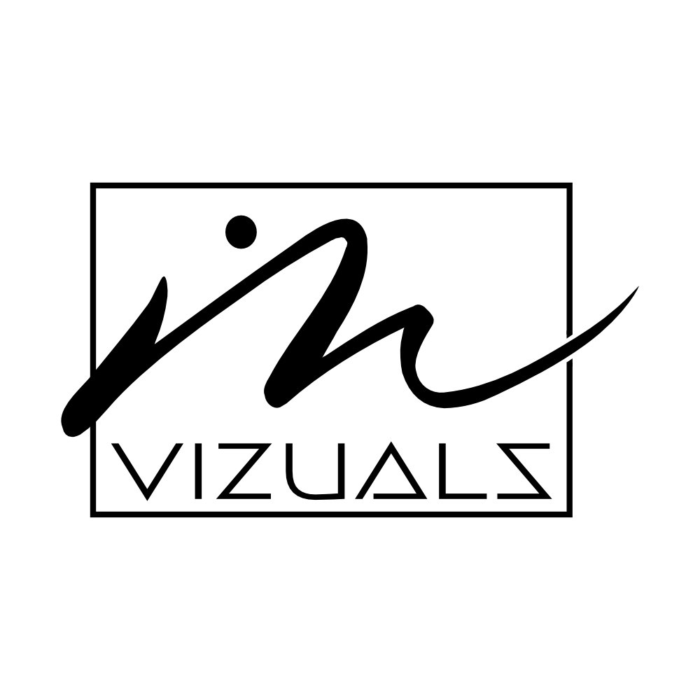 Artistic design showcasing VIZUALS text with stylized typography and decorative geometric elements in black.