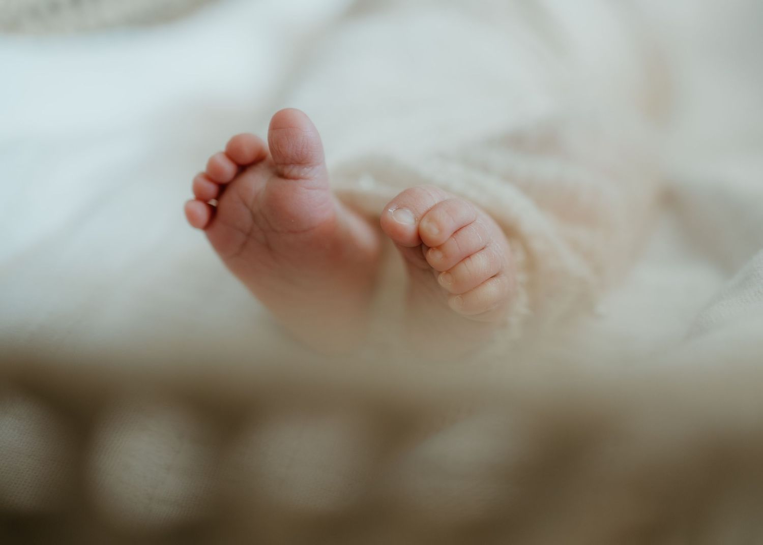 Close-up view of tiny newborn baby feet against soft white blanket in gentle lighting.
