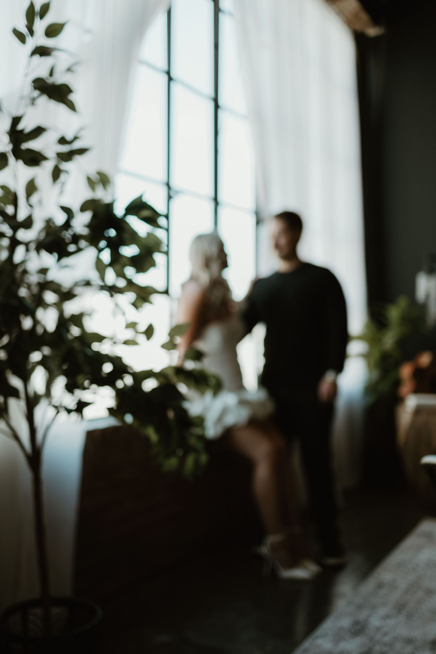 Silhouetted figures stand by a bright window with indoor plants casting organic shadows in moody lighting.