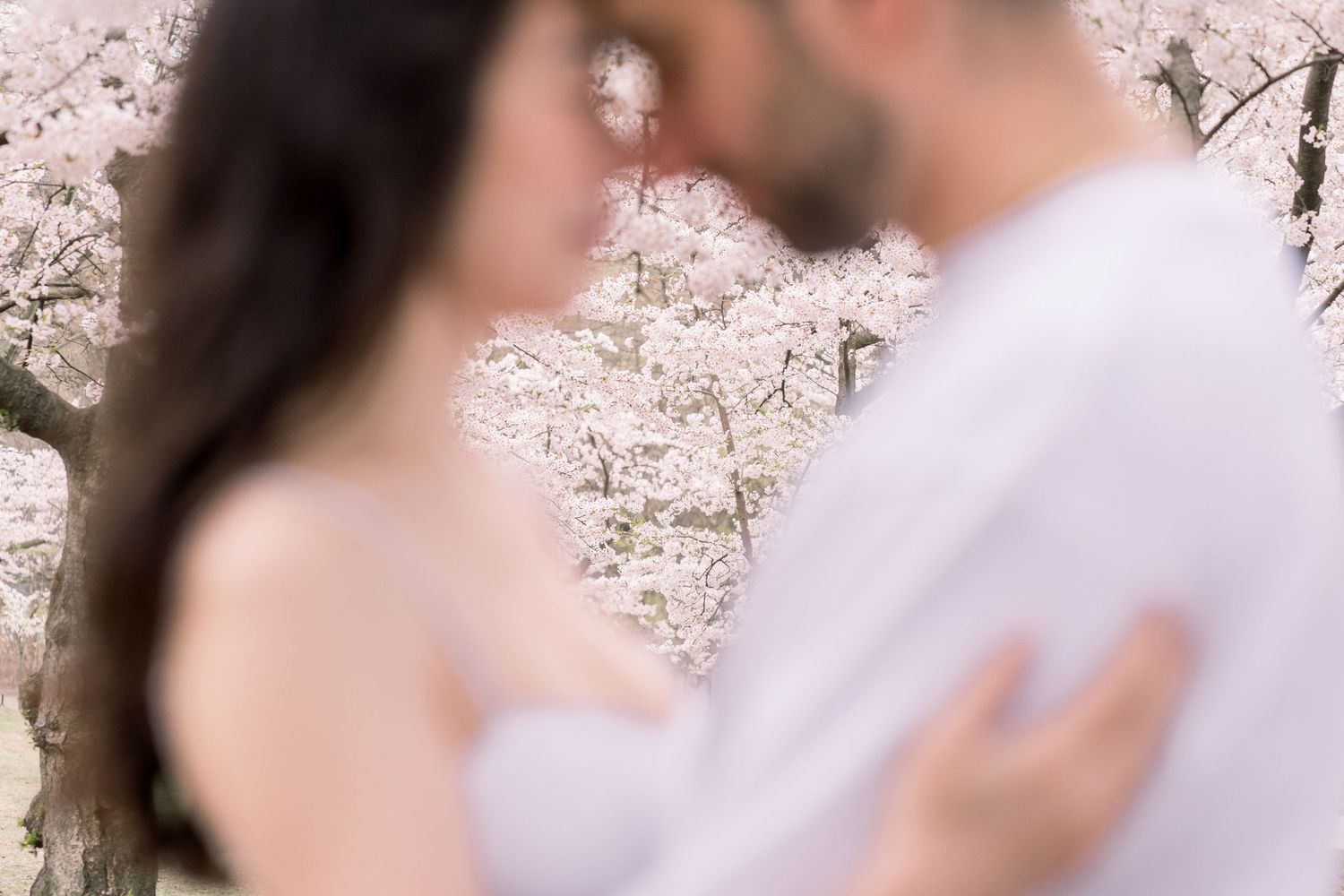 Outdoor series of headshots capturing someone against a backdrop of soft pink cherry blossoms.