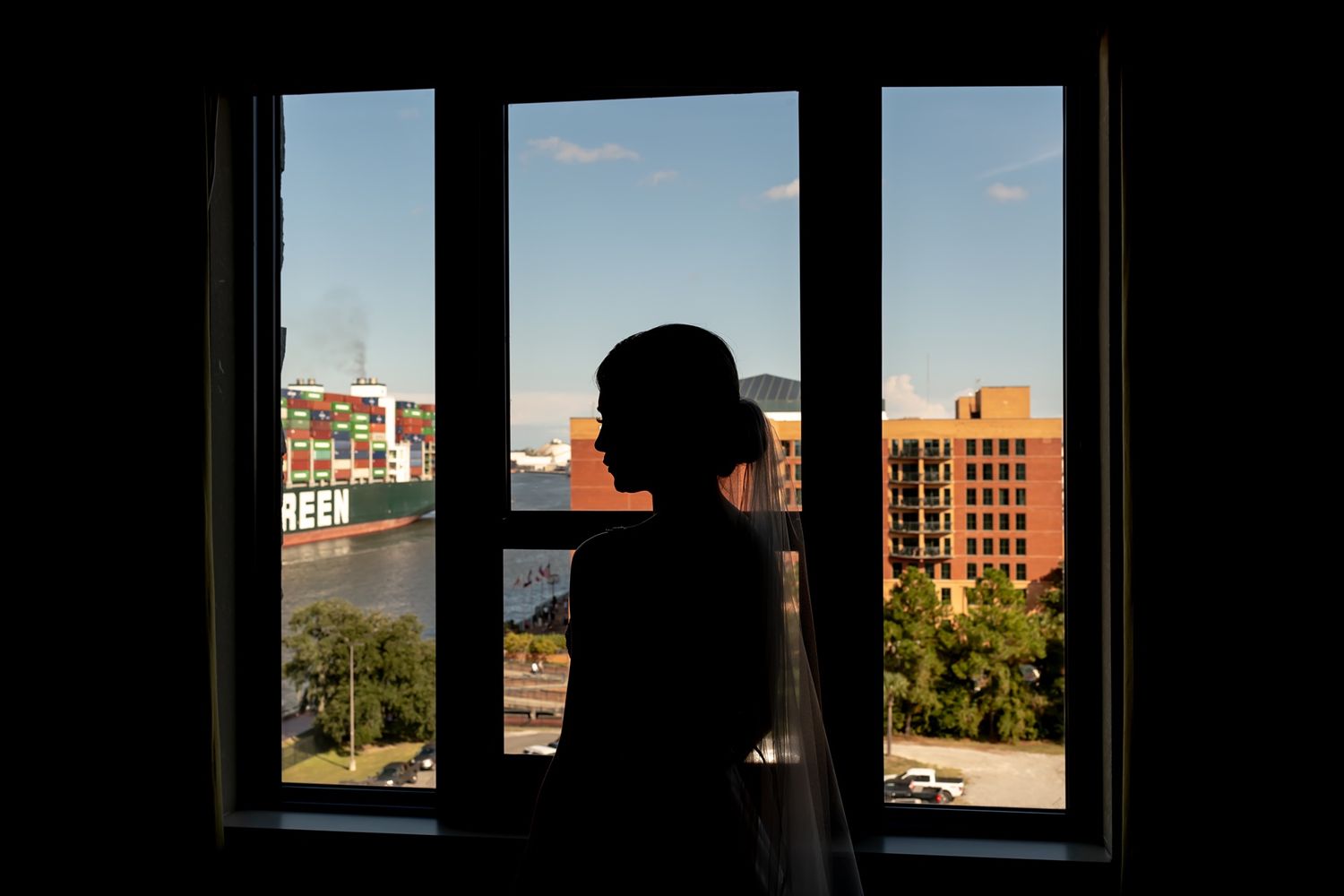 A silhouetted figure stands at a window overlooking urban buildings and trees during daytime.