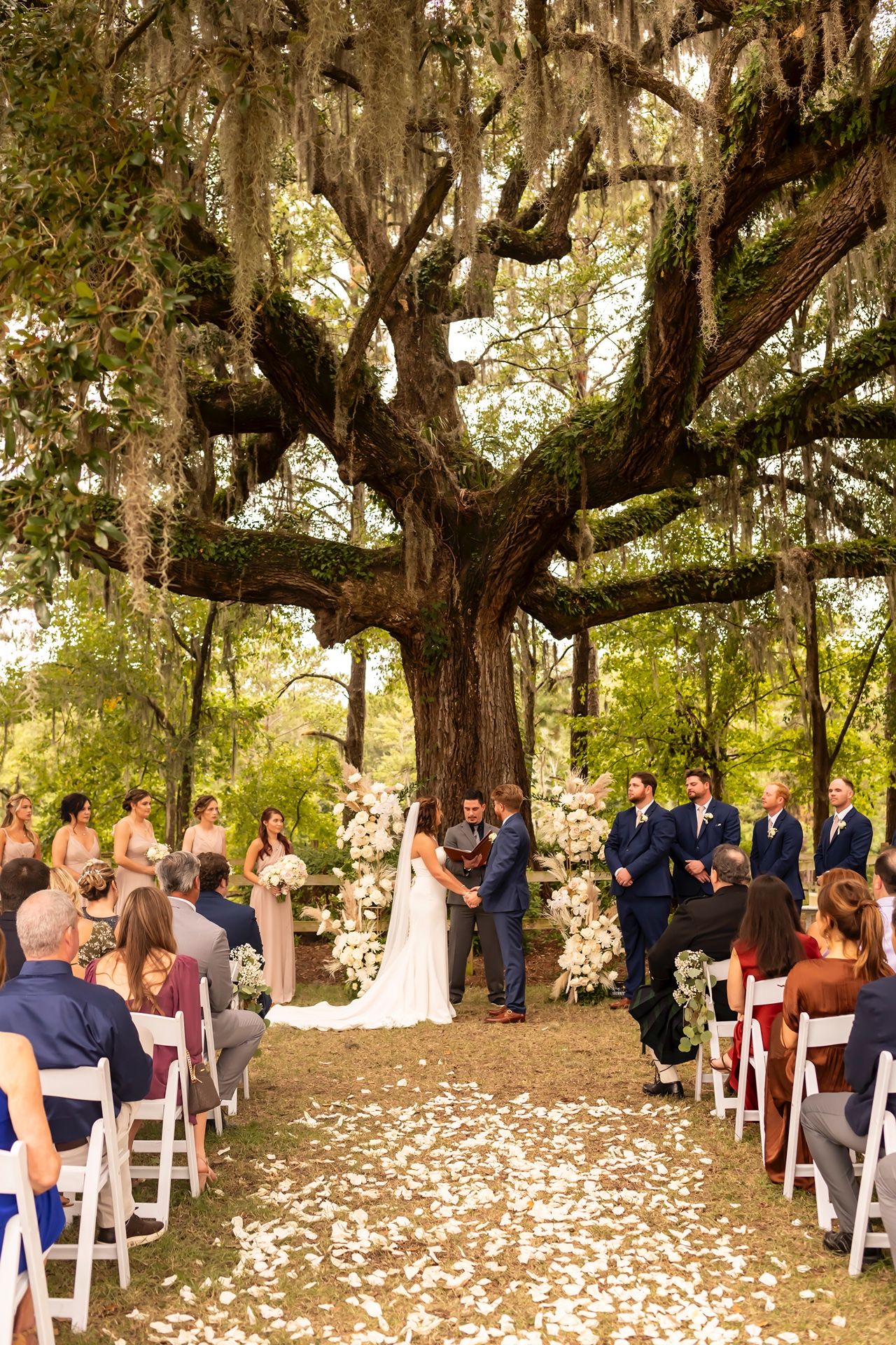 Outdoor wedding ceremony under a majestic oak tree draped with Spanish moss and scattered flower petals along the aisle.