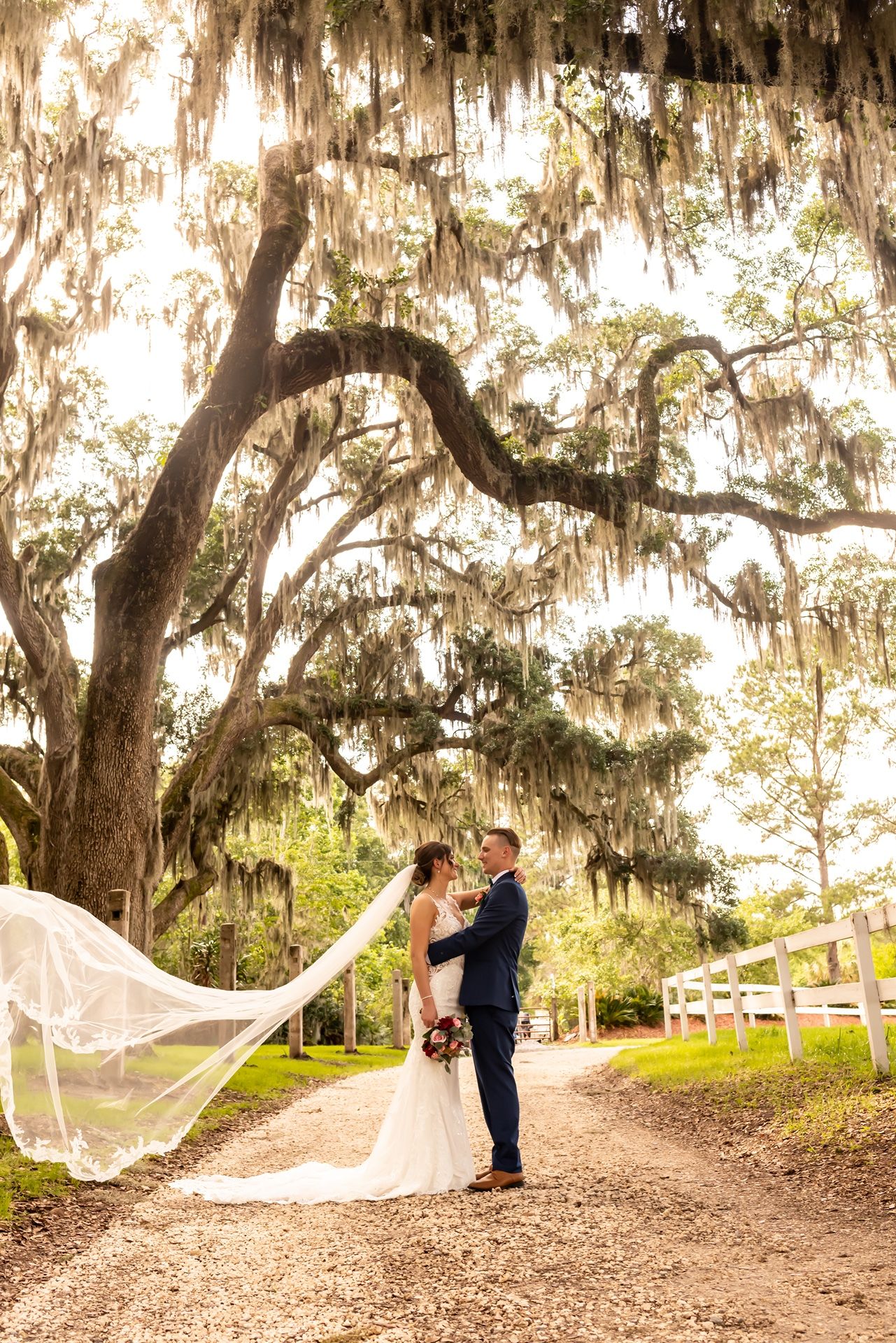 A romantic scene under Spanish moss-draped oak trees along a dirt path with flowing veil catching the golden light.