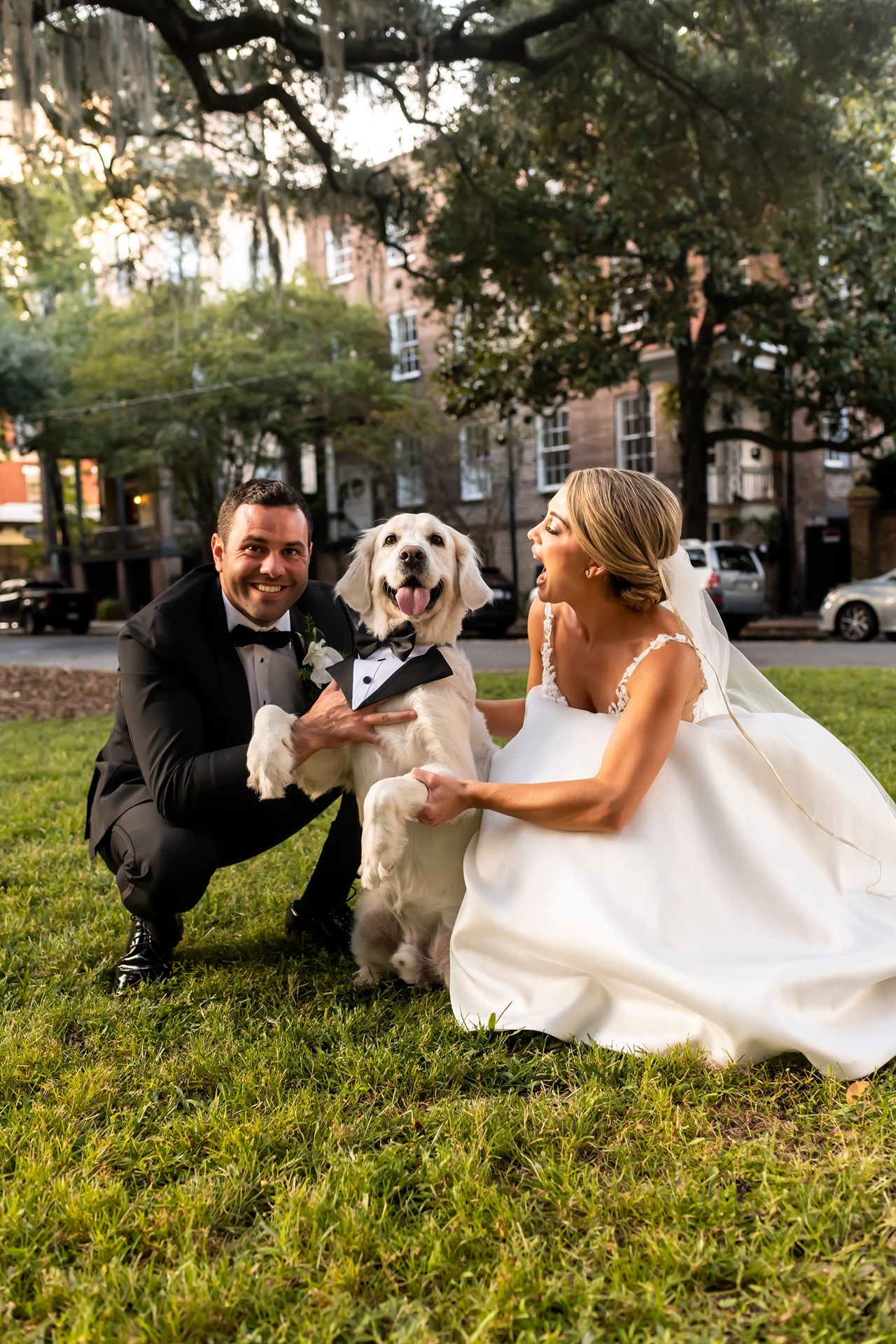 A couple and their dog relax on grassy ground while taking wedding photos in a tree-lined urban setting.