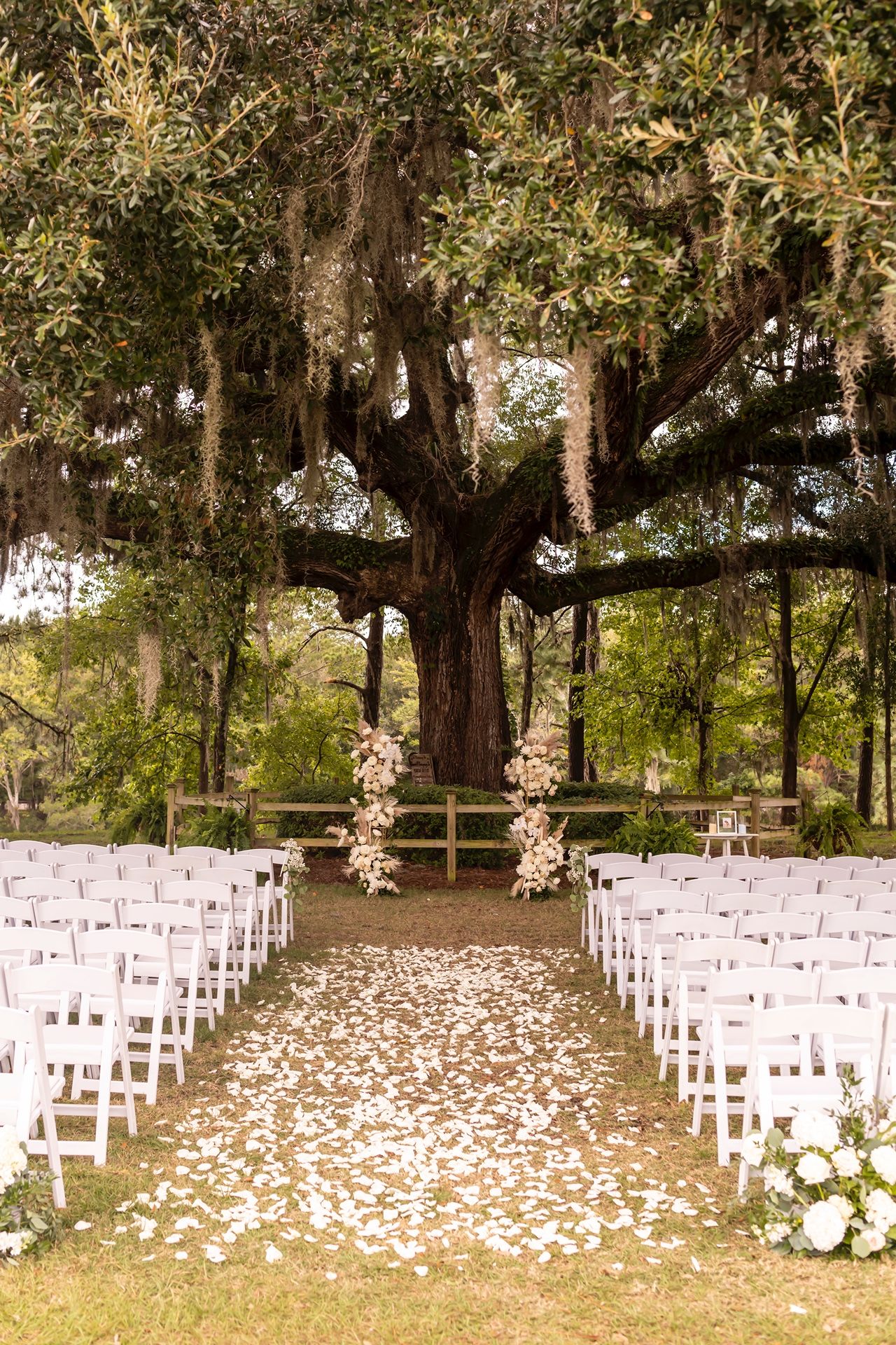 White wooden chairs arranged in rows for an outdoor wedding ceremony under large oak trees decorated with floral elements.