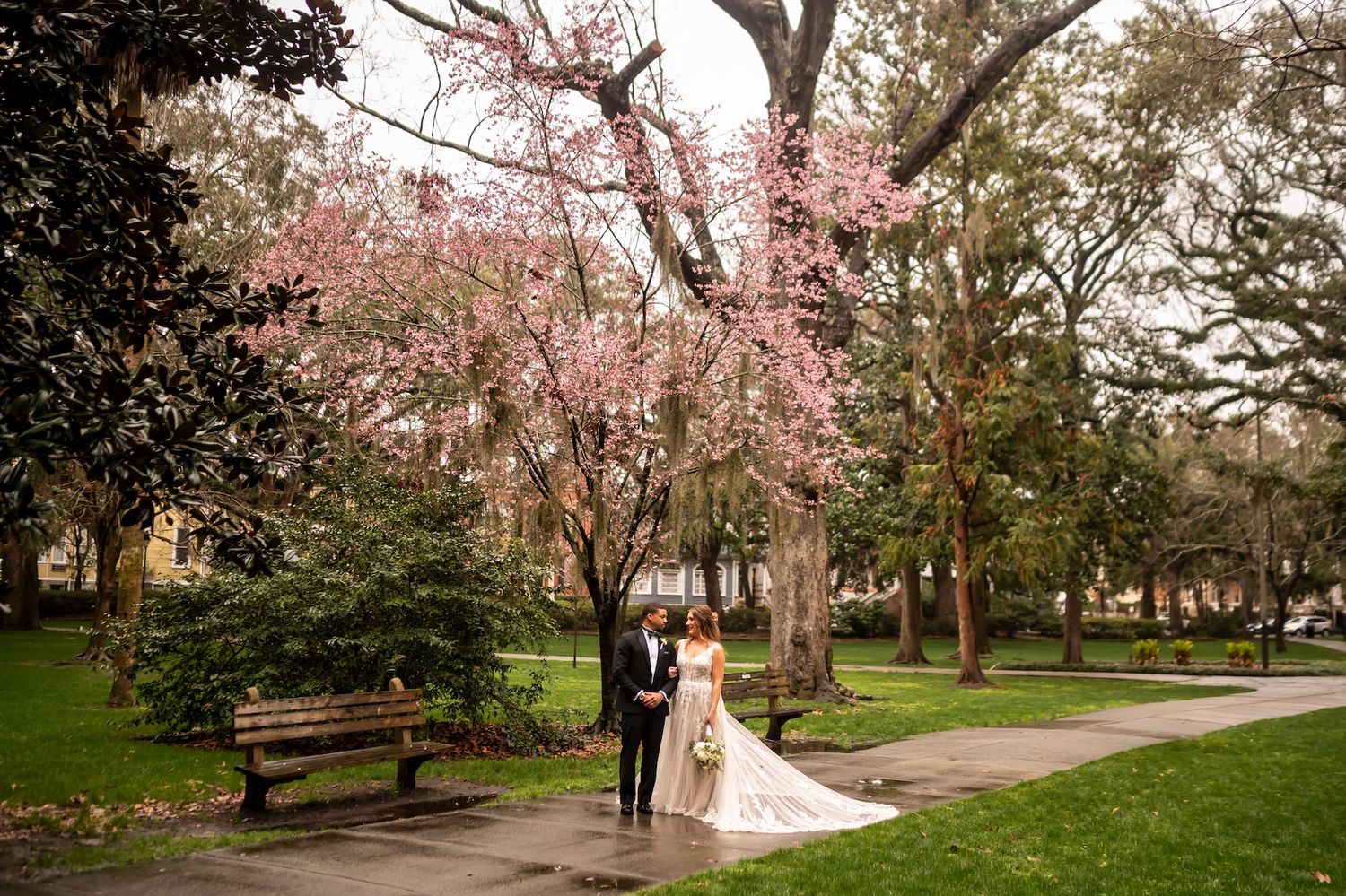 A couple stands beneath a blooming pink cherry blossom tree in a serene park setting with benches and green grass.
