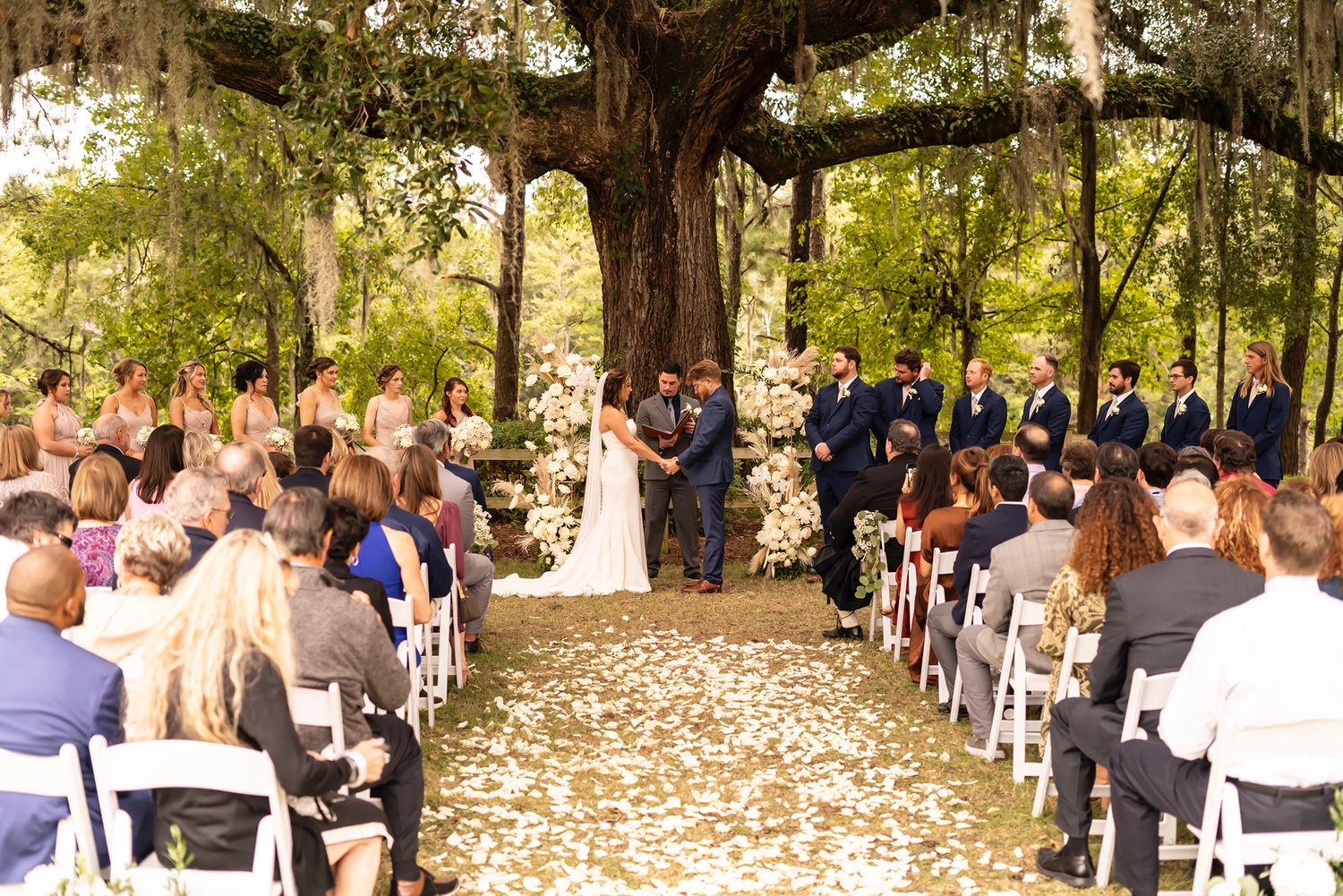 Outdoor wedding ceremony under large oak tree with Spanish moss and flower petals scattered on ground.