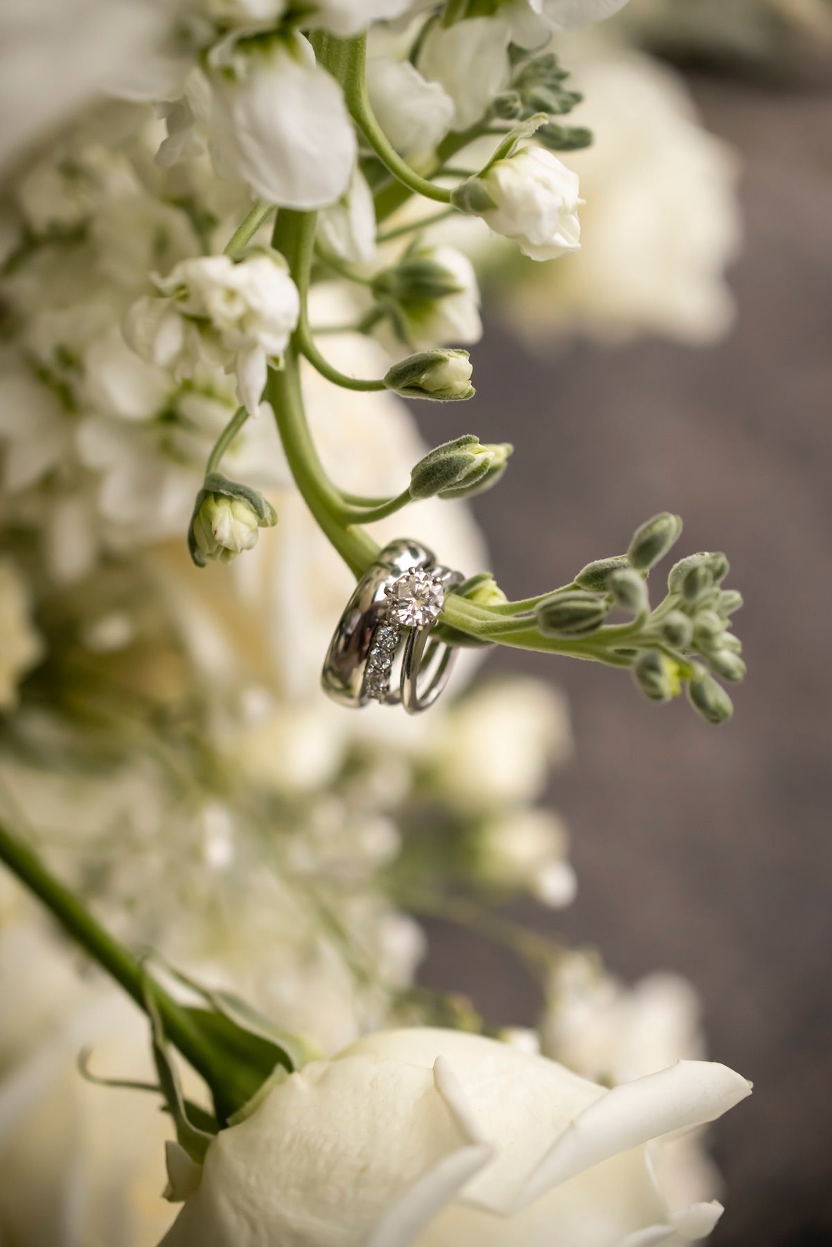 Wedding rings resting on delicate white flowers with a dreamy soft focus background.
