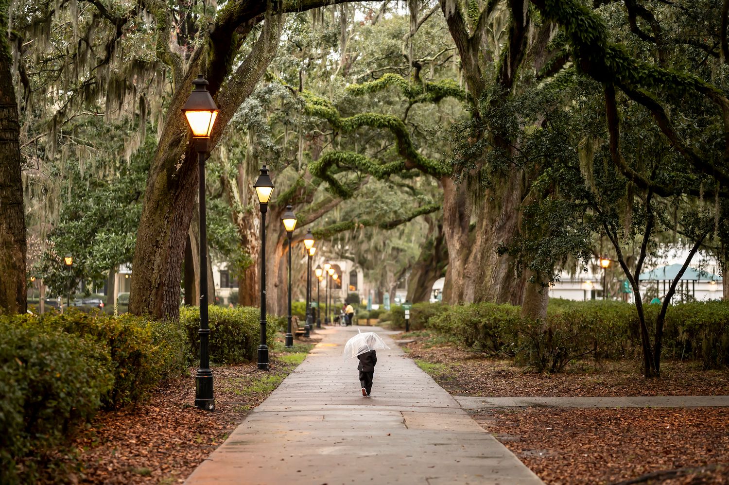 A lone figure walks down a tree-lined pathway with hanging spanish moss and illuminated vintage lampposts in Savannah, Georgia.