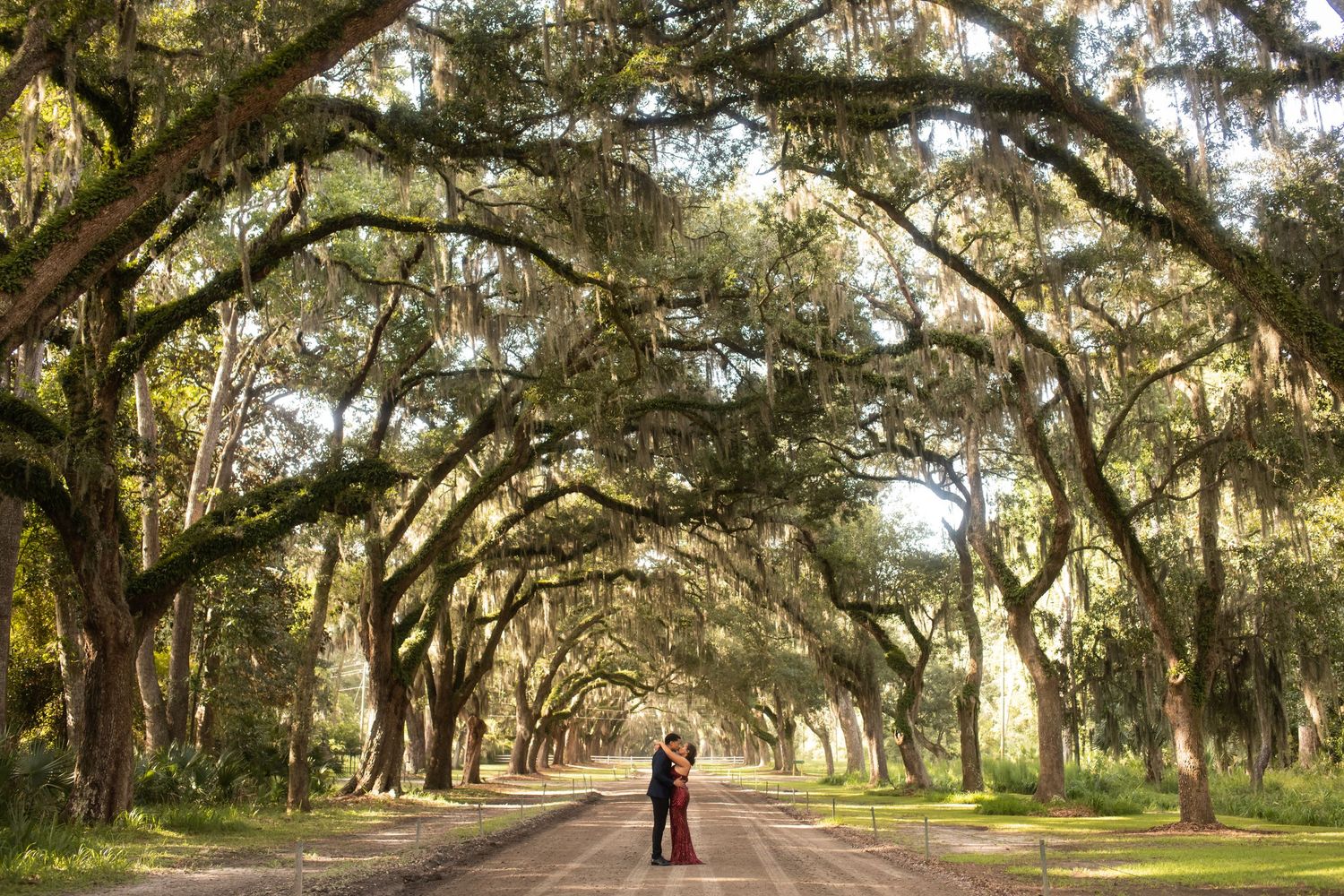 A scenic path lined with ancient oak trees draped in Spanish moss creates a dreamy tunnel effect in South Carolina.