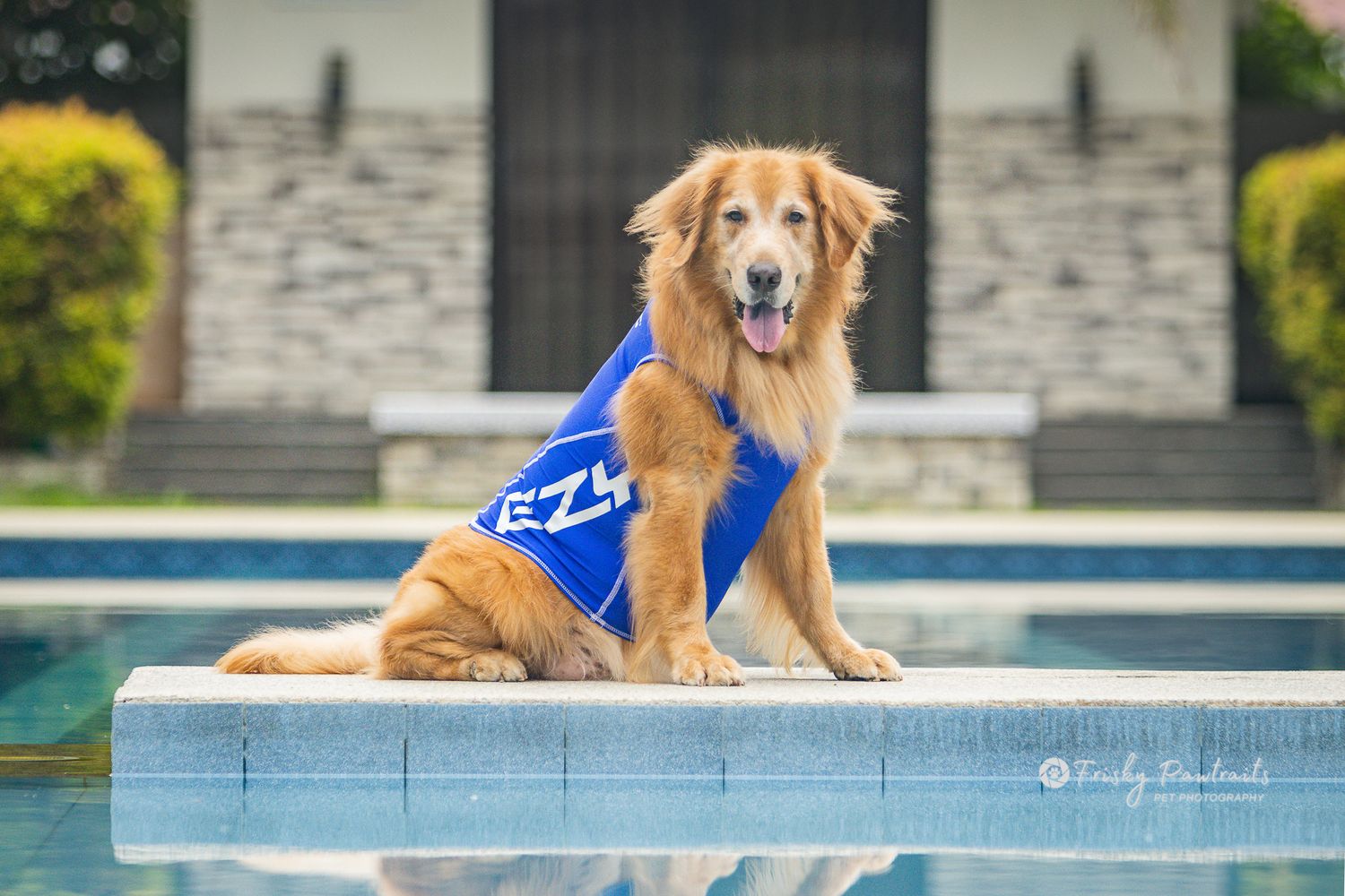 A cheerful golden retriever rests on the steps of a stone building with wooden doors in the background.