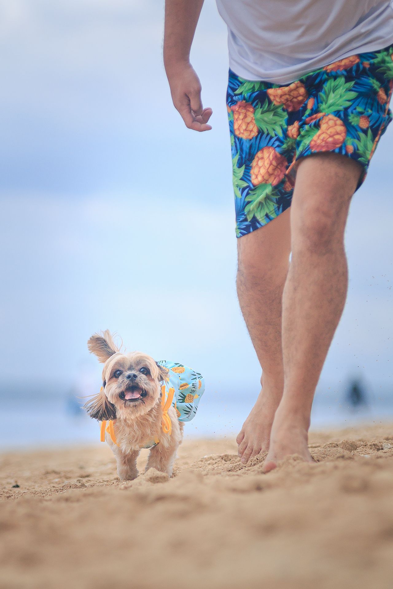 man running with this dog at the beach