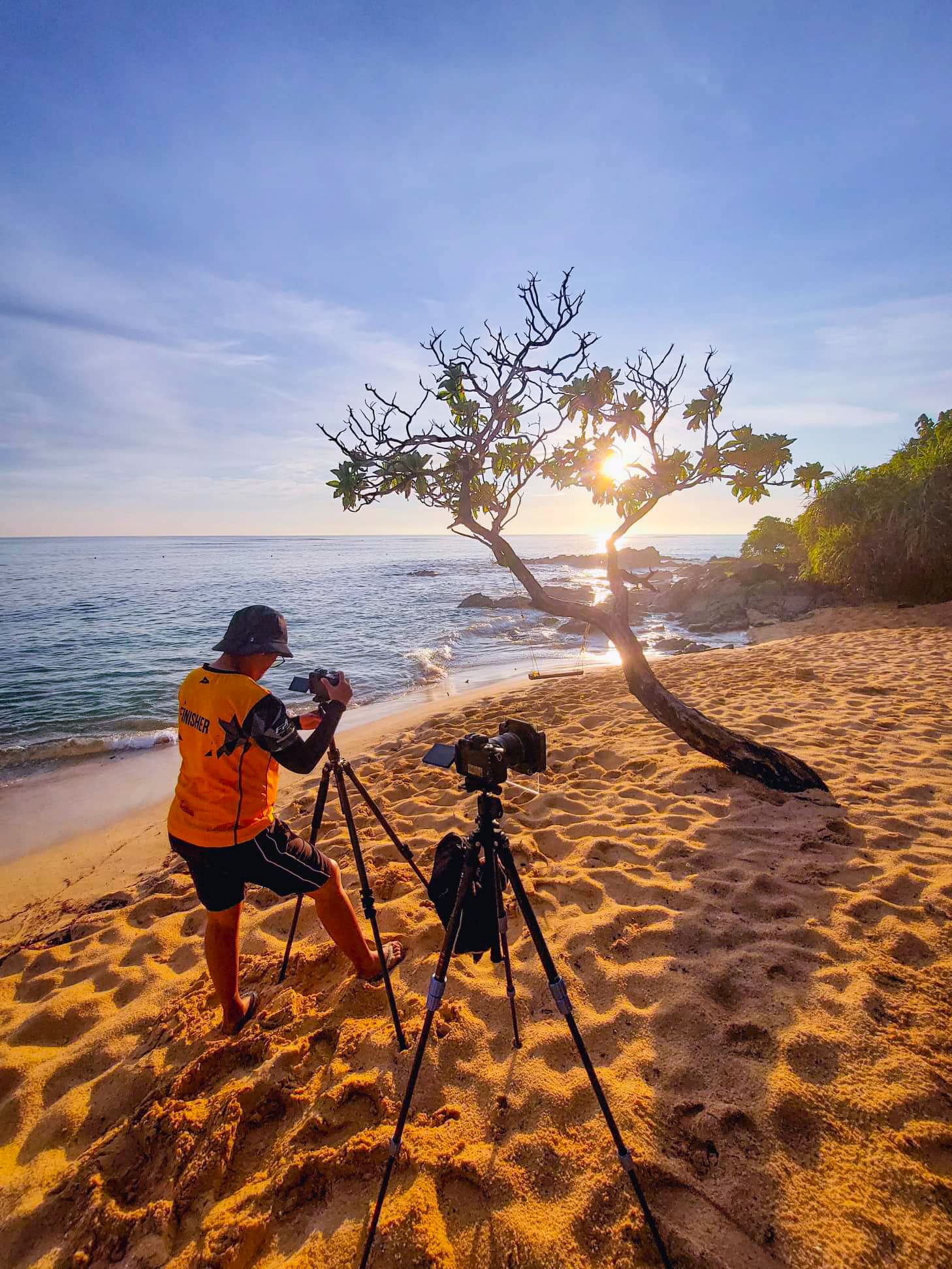 Photographer with tripods capturing sunset through gnarled tree on sandy beach with ocean view in golden light.