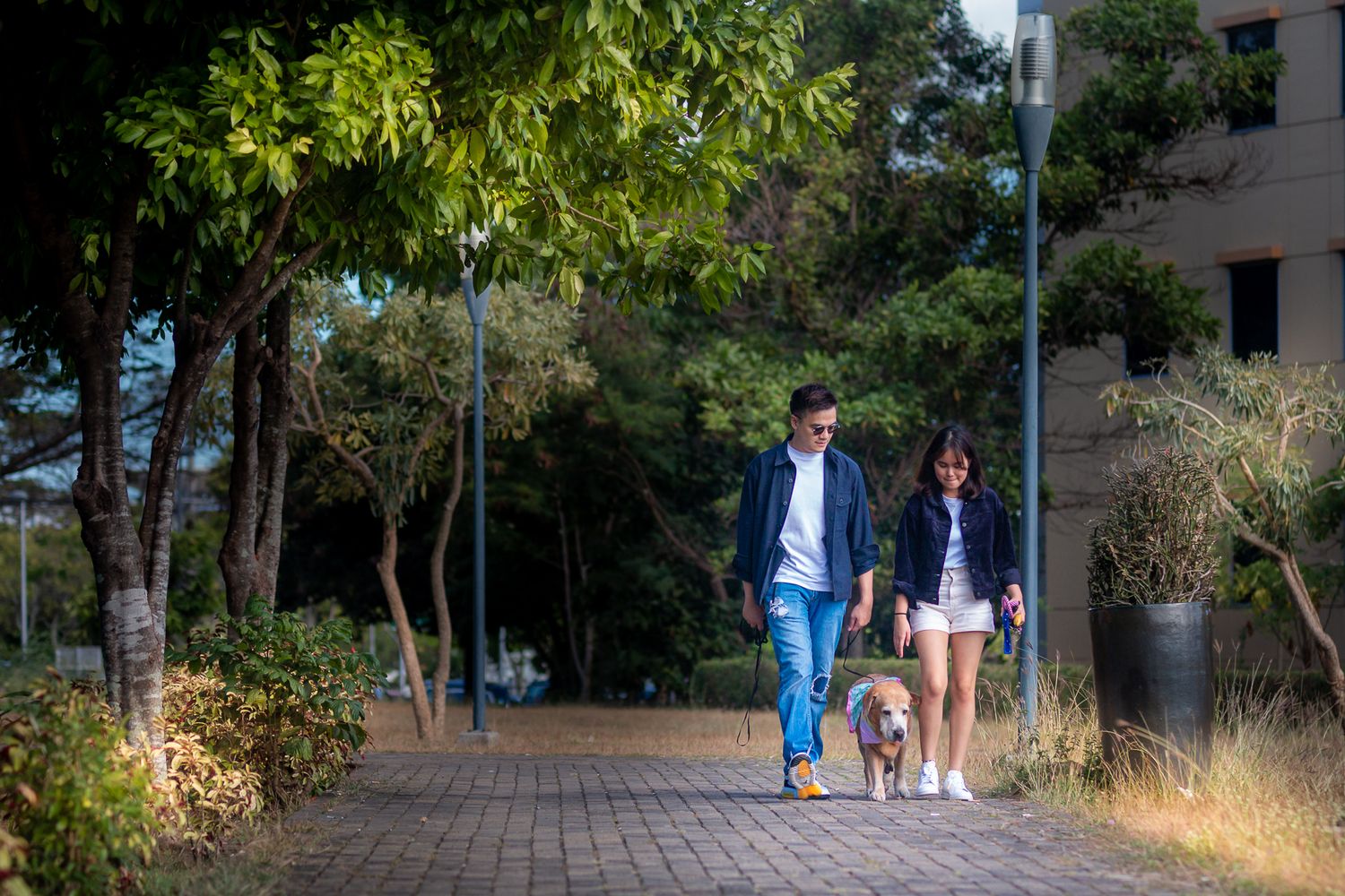 Two people walking a golden retriever dog along a tree-lined pathway on a sunny afternoon.