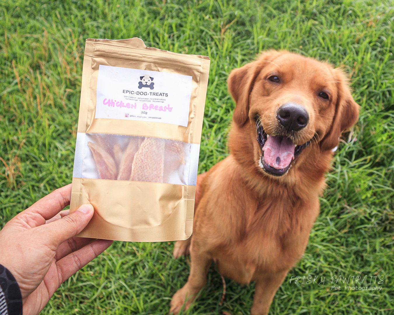 A happy golden retriever smiling at camera while being offered dog treats in a grassy field.