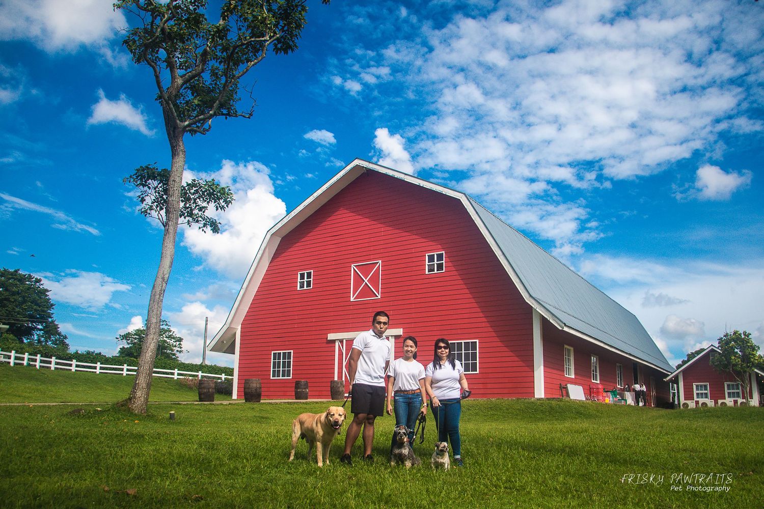outdoor farm portrait of a family with their dogs