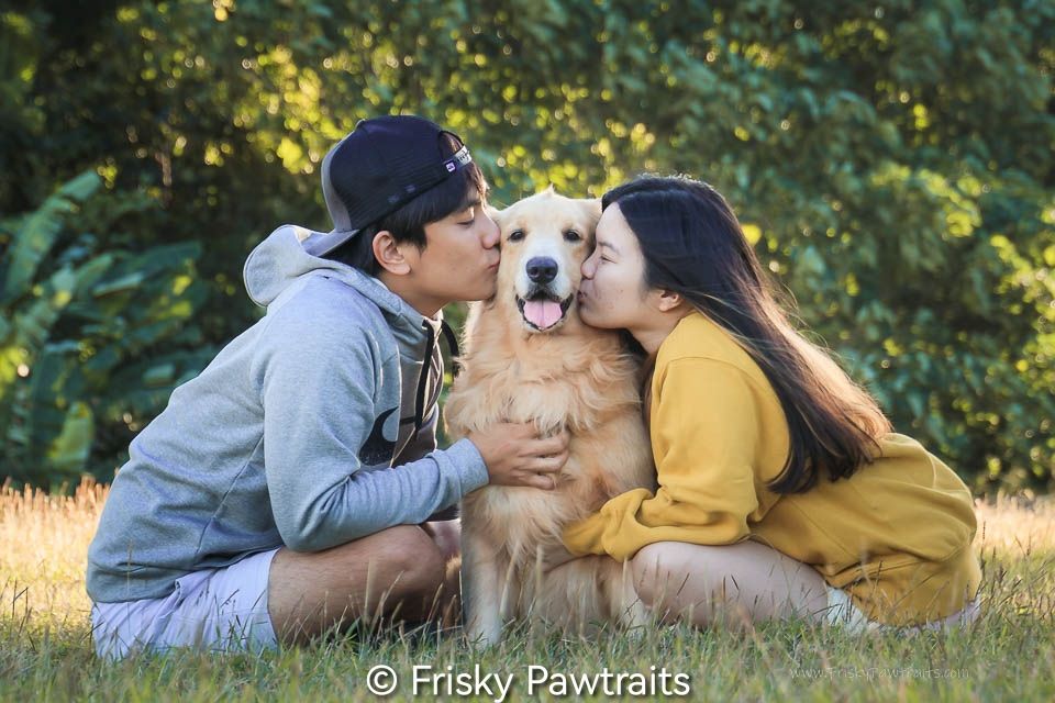 outdoor portrait of a human couple with their golden retriever