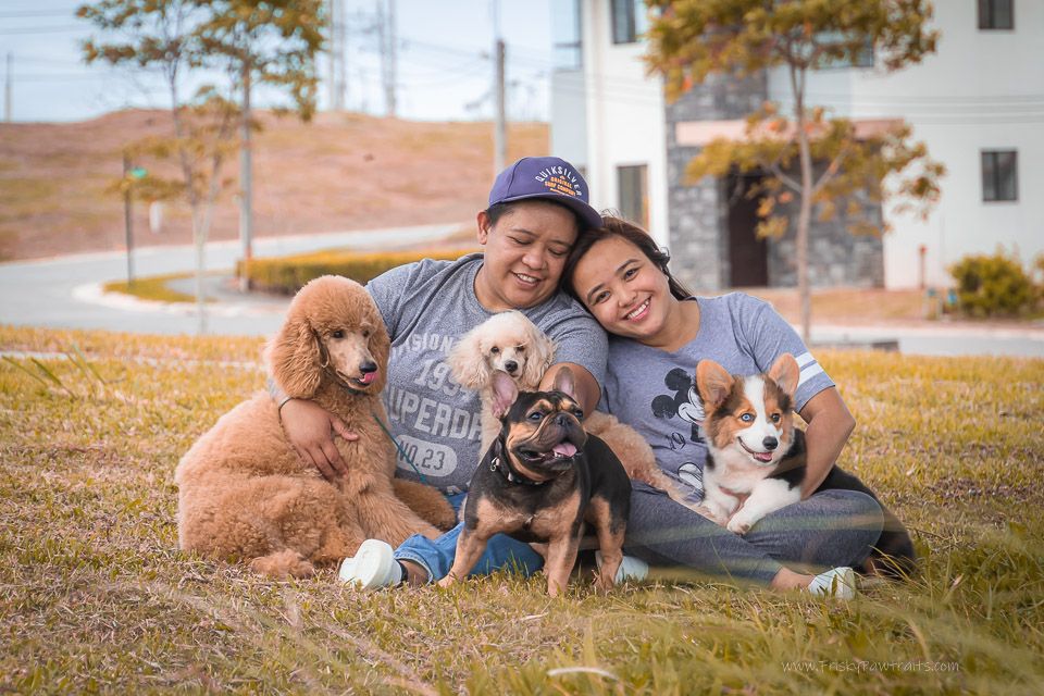 Dogs and companions relax together on a grassy hillside during a sunny morning.