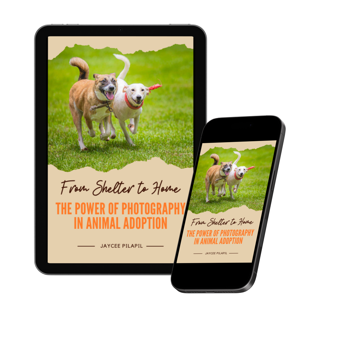 Digital book mockup showing adorable shelter dogs running on grass displayed on tablet and phone screens.