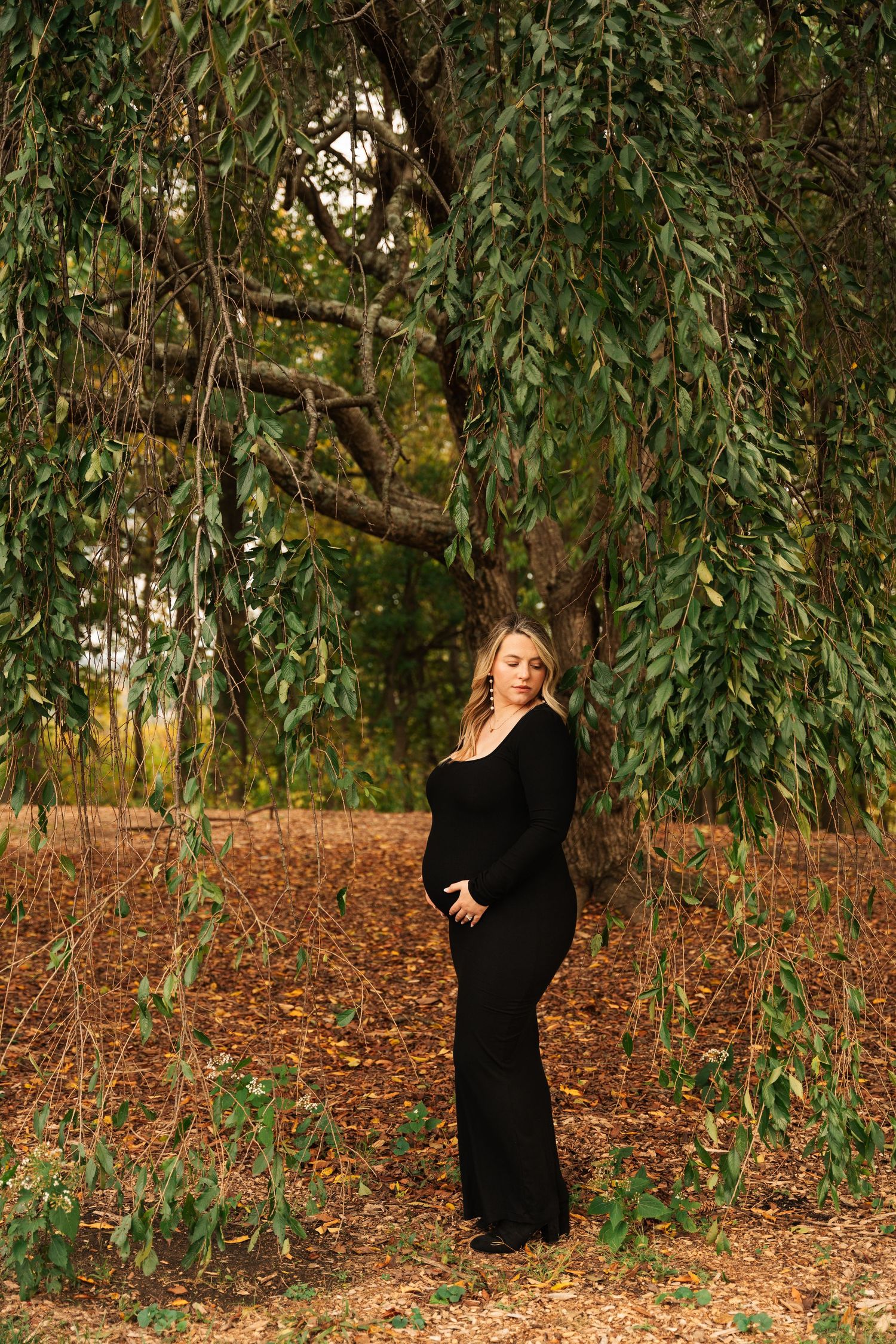 Elegant maternity portrait under a weeping willow tree in autumn with fallen leaves.