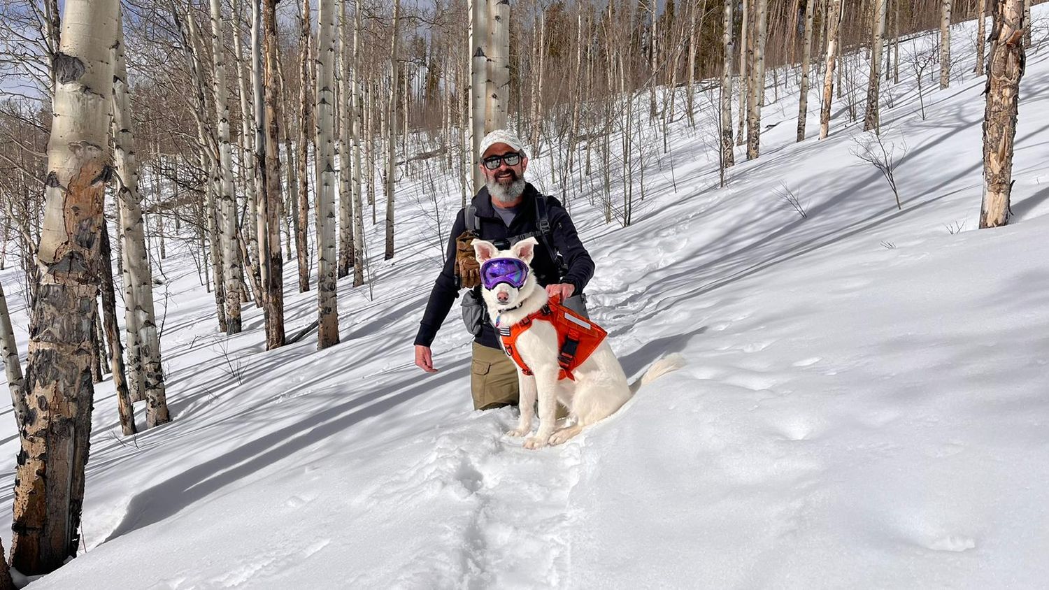 Colorado hidden marriage proposal photographer out with dog on mountain trail near Breckenridge
