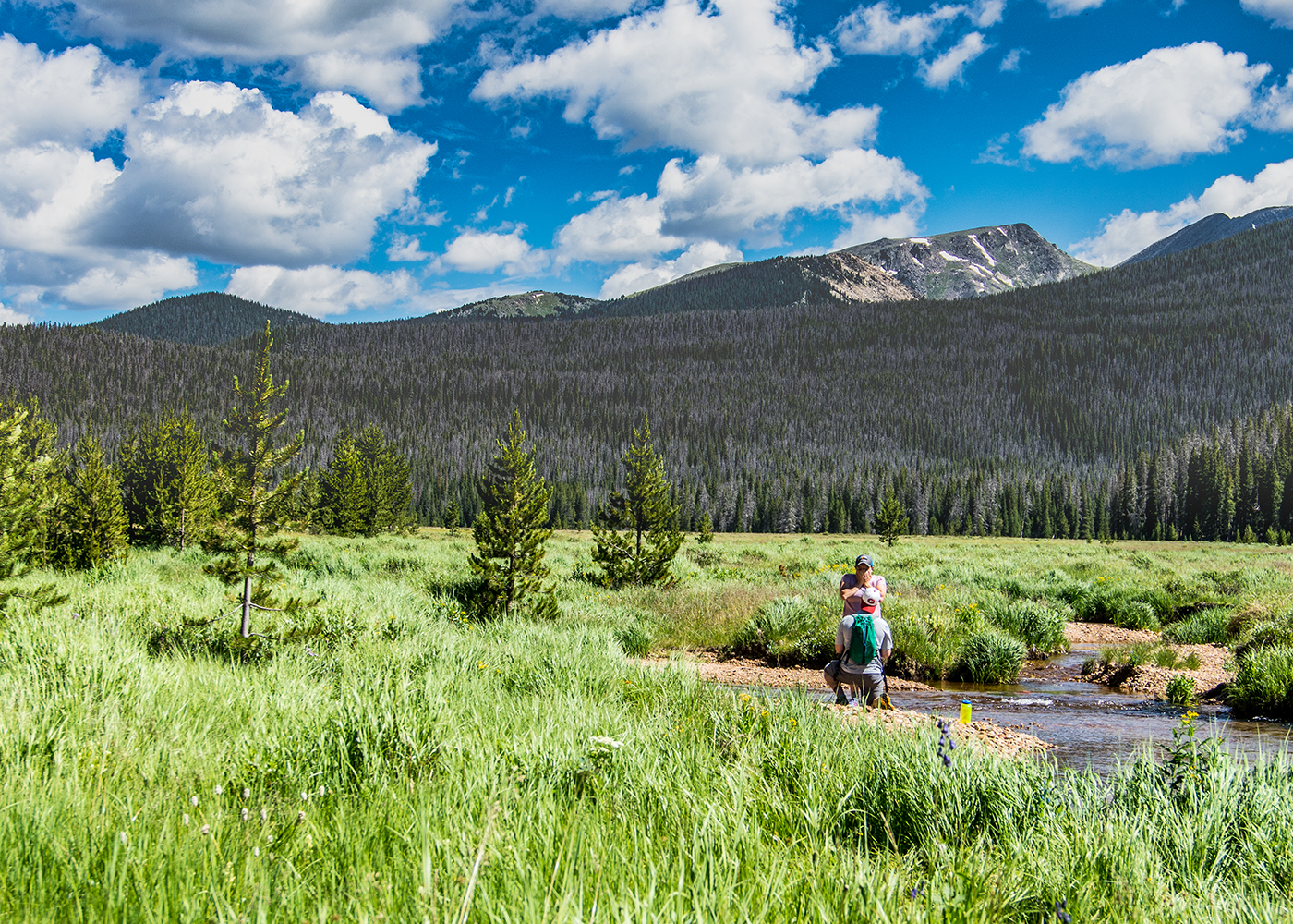 Surprise marriage proposal capture by a hidden photographer along a river at Big Meadows in Rocky Mountain National Park, COLORADO