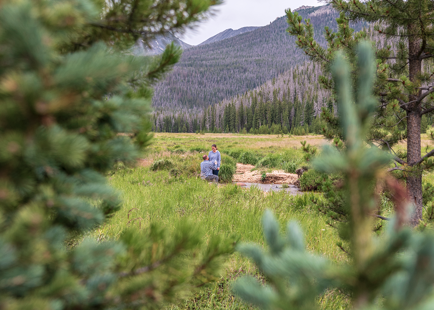 Man down on one knee along a river at Big Meadow in Rocky Mountain National Park for this surprise marriage proposal.