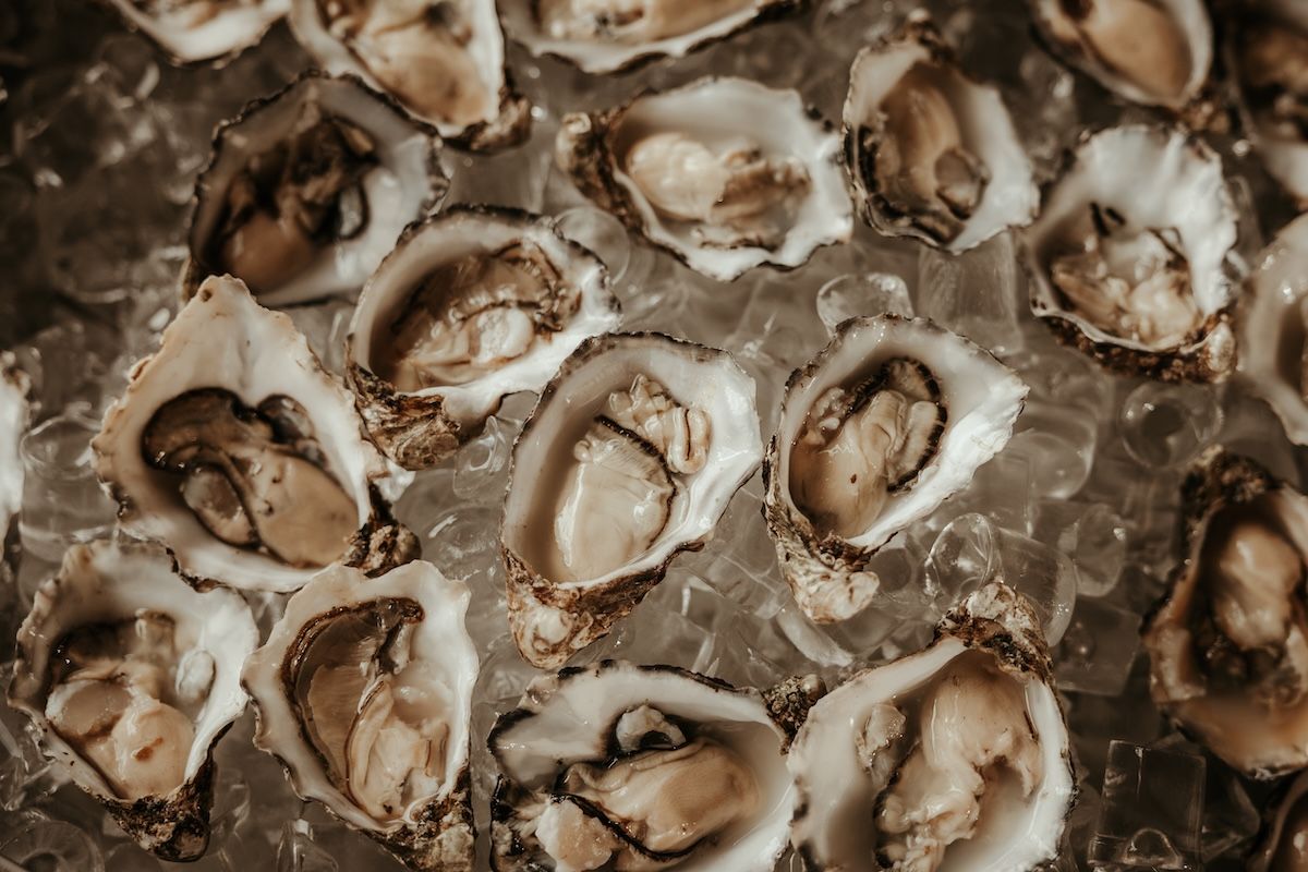 Närbild av ostron som serveras på ett elegant höstbröllop på västkusten. Foto av Grevholm Photography