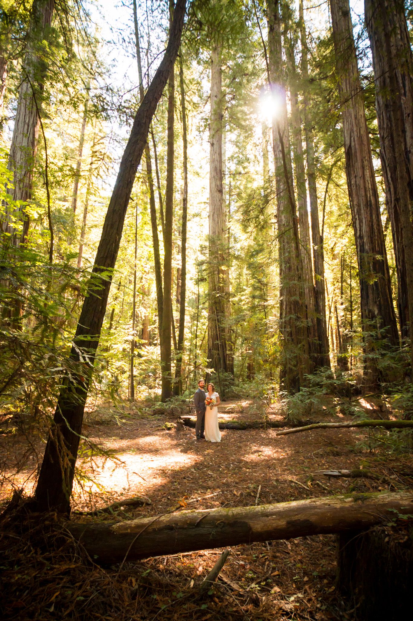 Golden sunlight streams through tall forest trees illuminating wedding ceremony below.