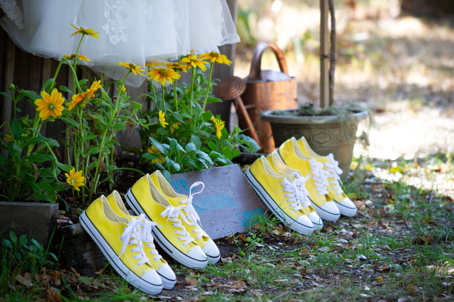 Yellow high-top sneakers lined up in a garden setting with blooming yellow flowers and terracotta pots in background.
