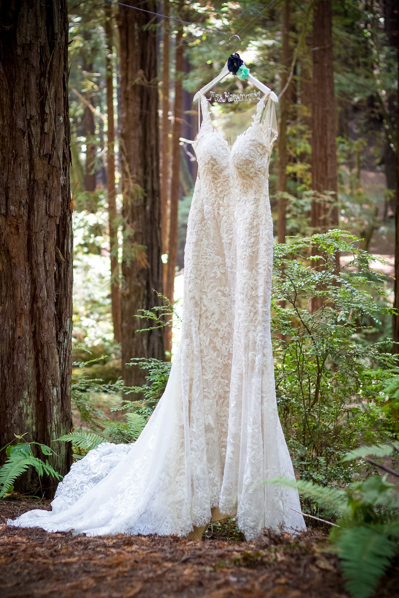 A delicate lace wedding dress hangs elegantly against tall redwood trees in a forest setting.