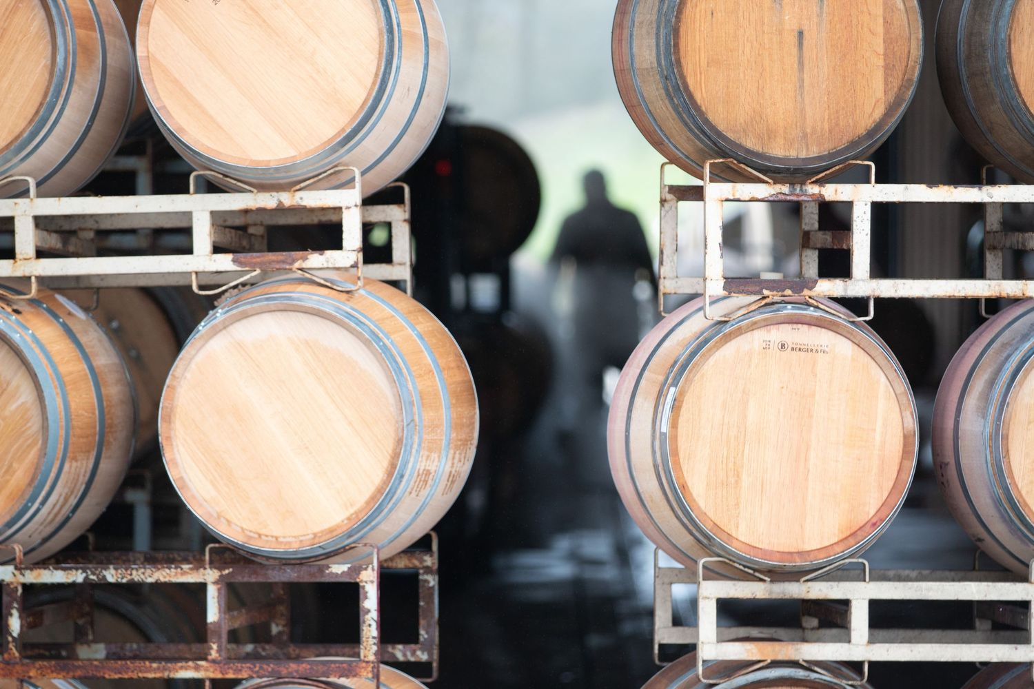 Wooden wine barrels stacked on metal racks in a cellar or winery.