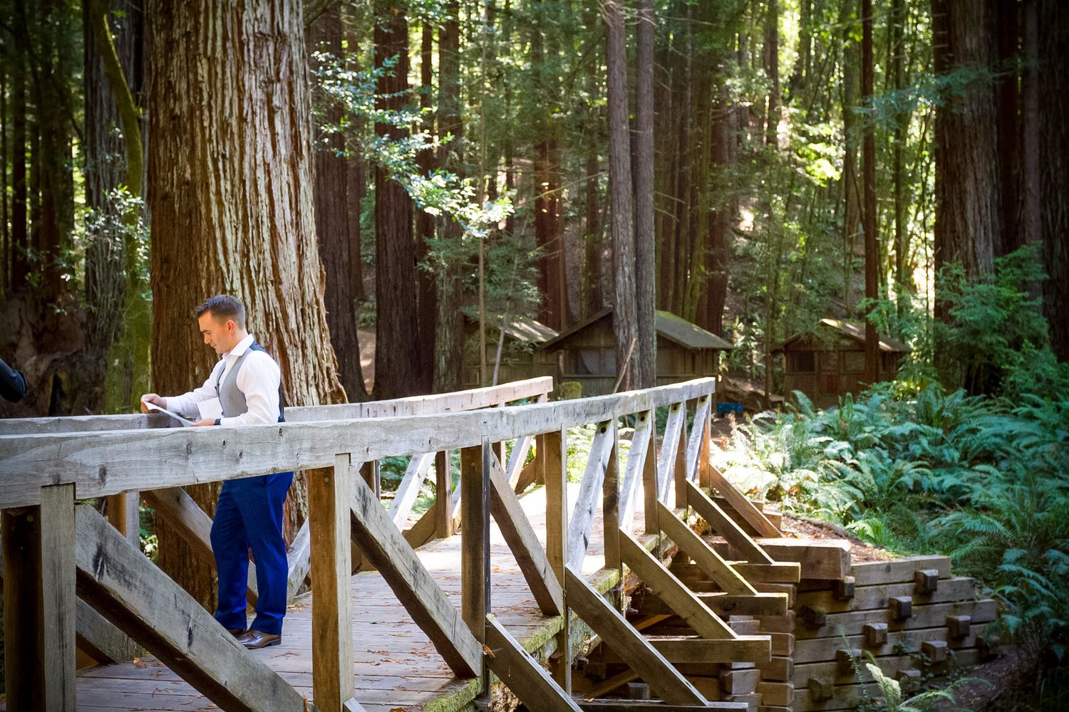 Person in white shirt walking across wooden bridge in redwood forest.
