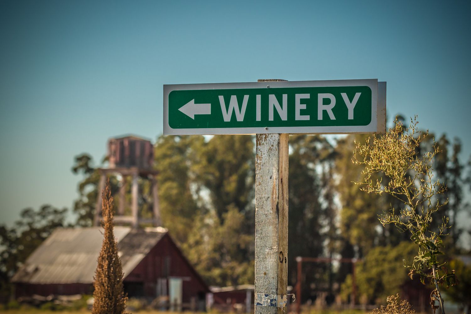 Rustic winery directional sign against a blue sky with trees in the background.