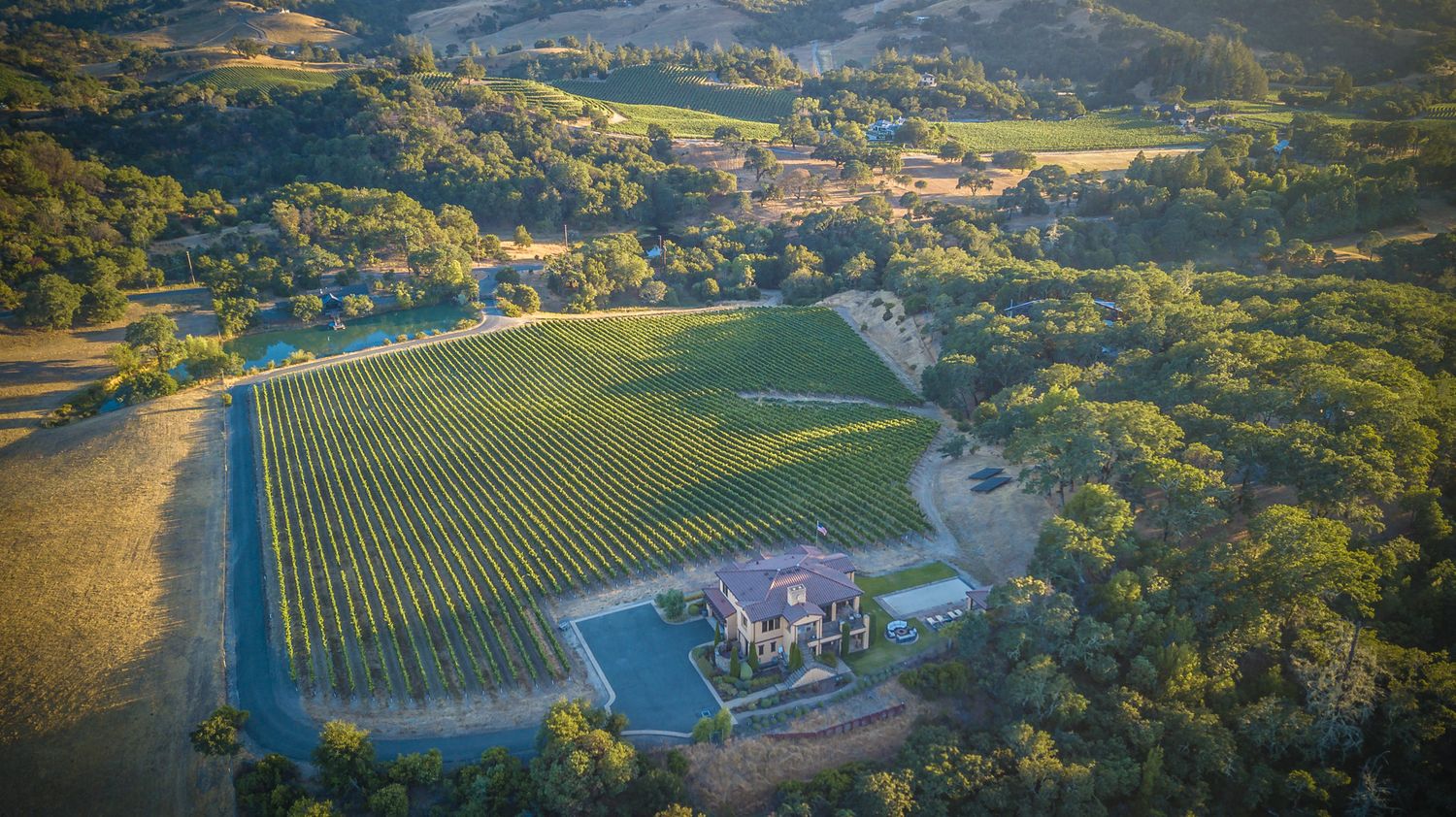 Aerial view of a winery estate with vineyard rows and buildings nestled in rolling green hills.