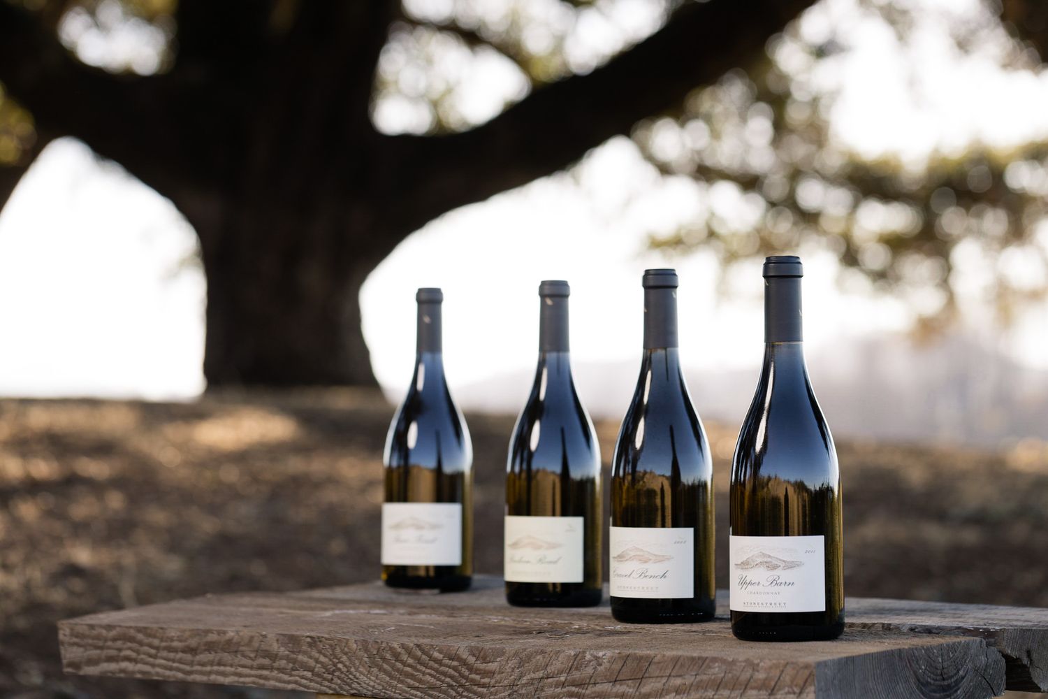 Four wine bottles arranged on wooden surface against silhouetted tree background.