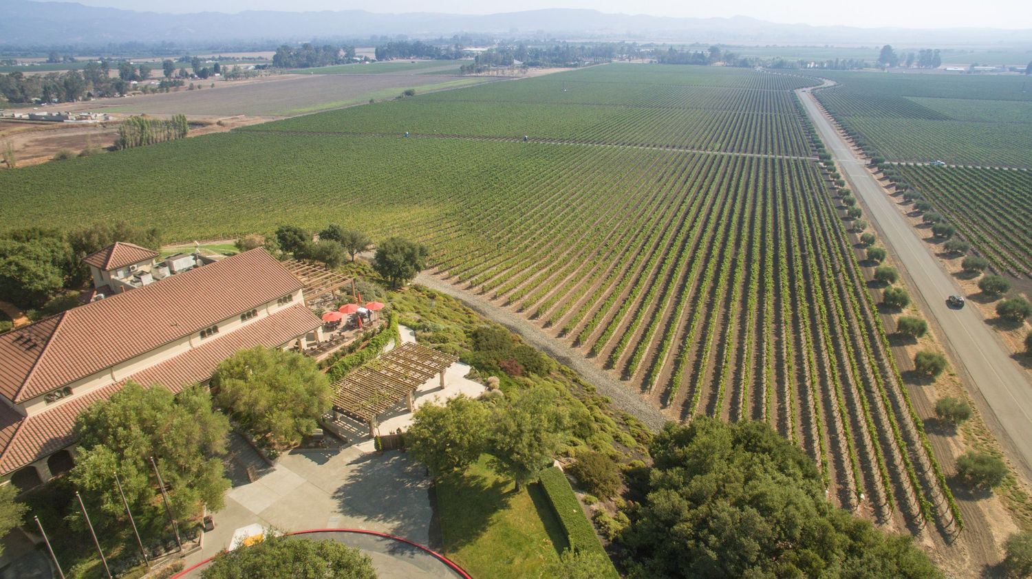 Aerial view of sprawling vineyard rows stretching across agricultural landscape.