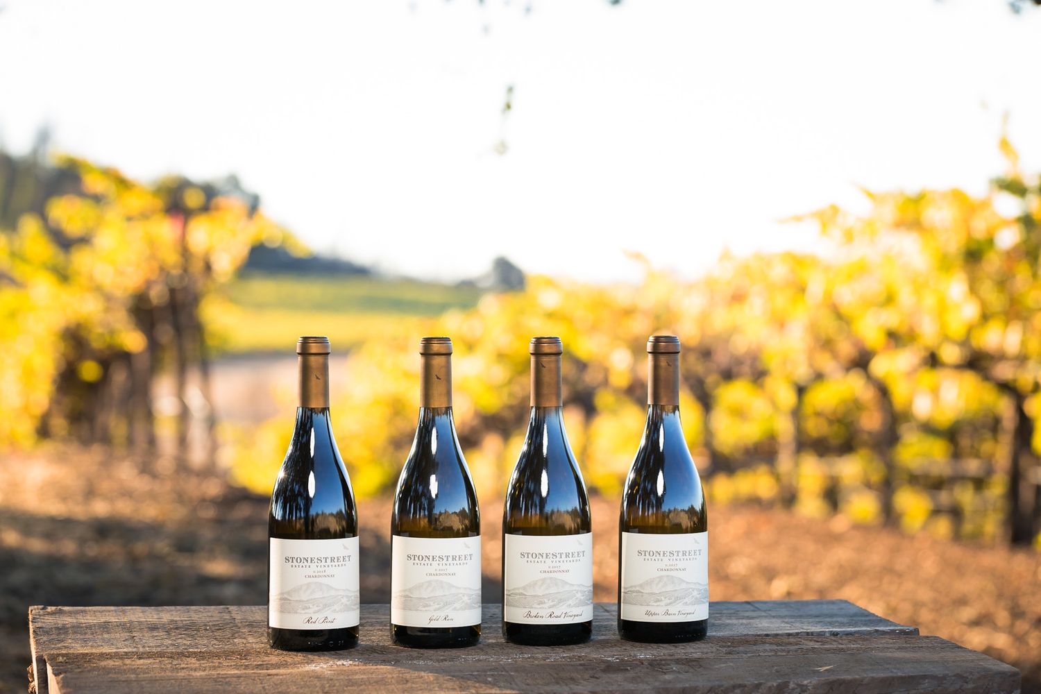 Four wine bottles lined up on wooden table in vineyard at sunset.