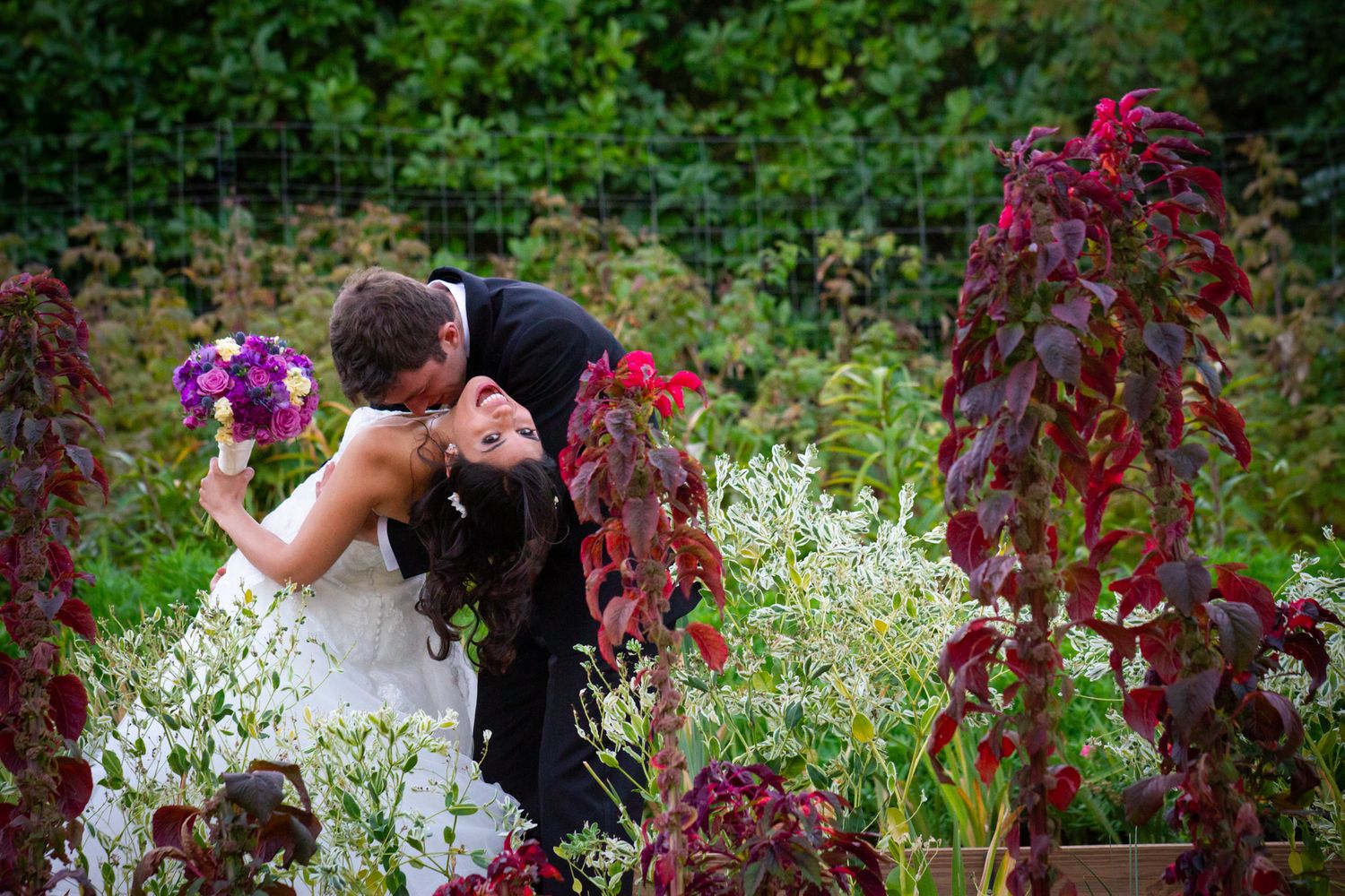 Garden wedding portraits featuring red amaranthus flowers and lush greenery.