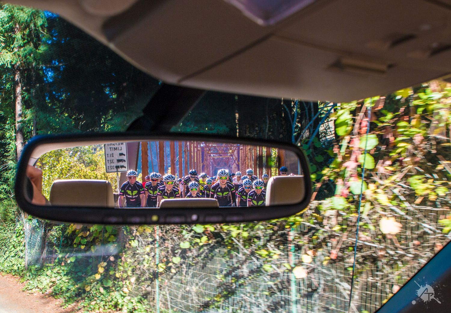 Looking up through a car windshield at sunlit trees and foliage on a sunny day with rearview mirror visible.