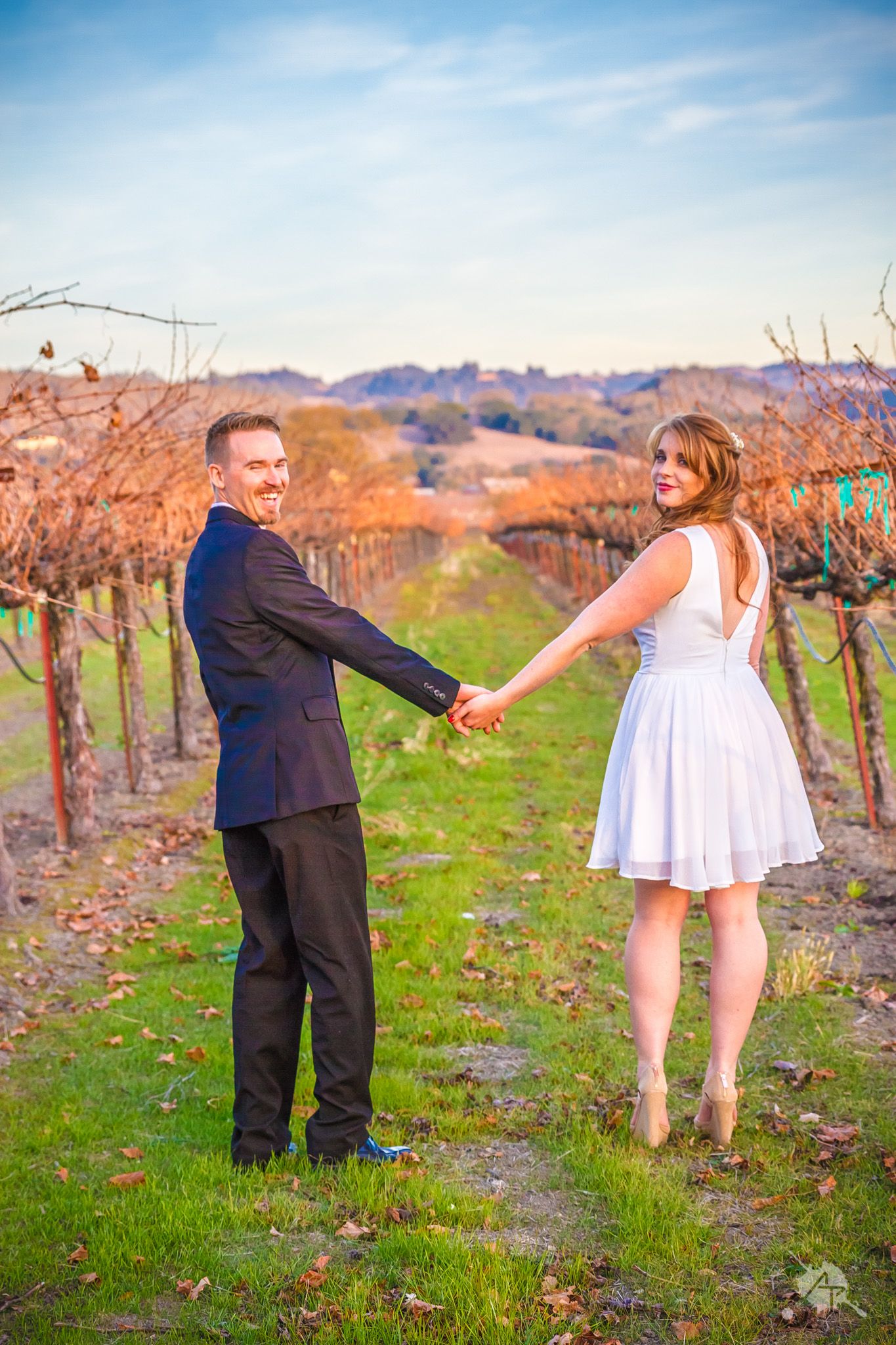 Couple holds hands in romantic pose among vineyard rows at sunset.