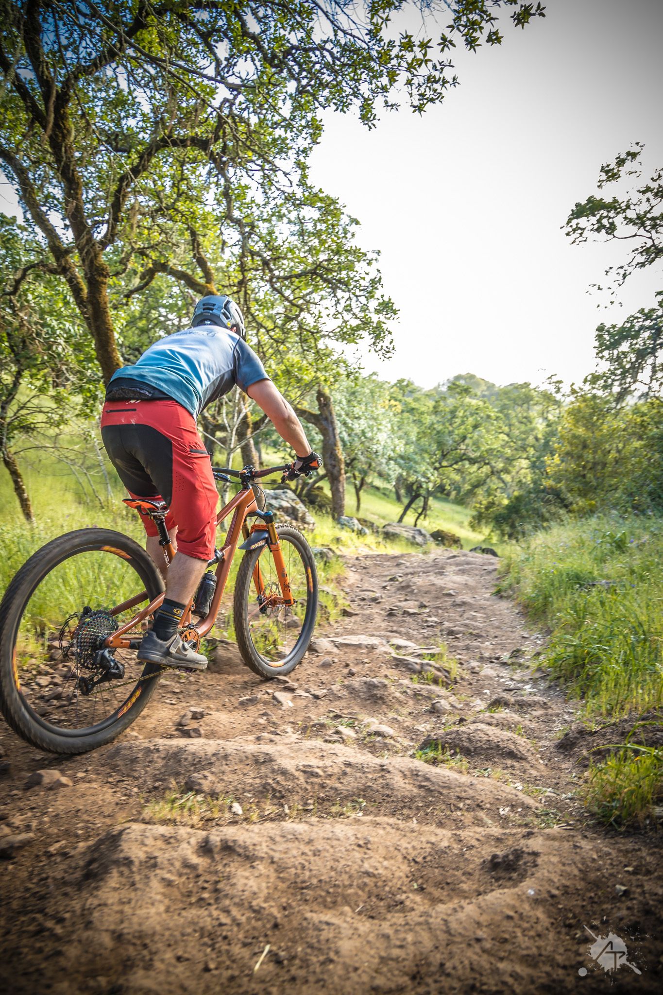 Mountain biker riding downhill on rocky trail through green forest terrain with specialized mountain bike gear.