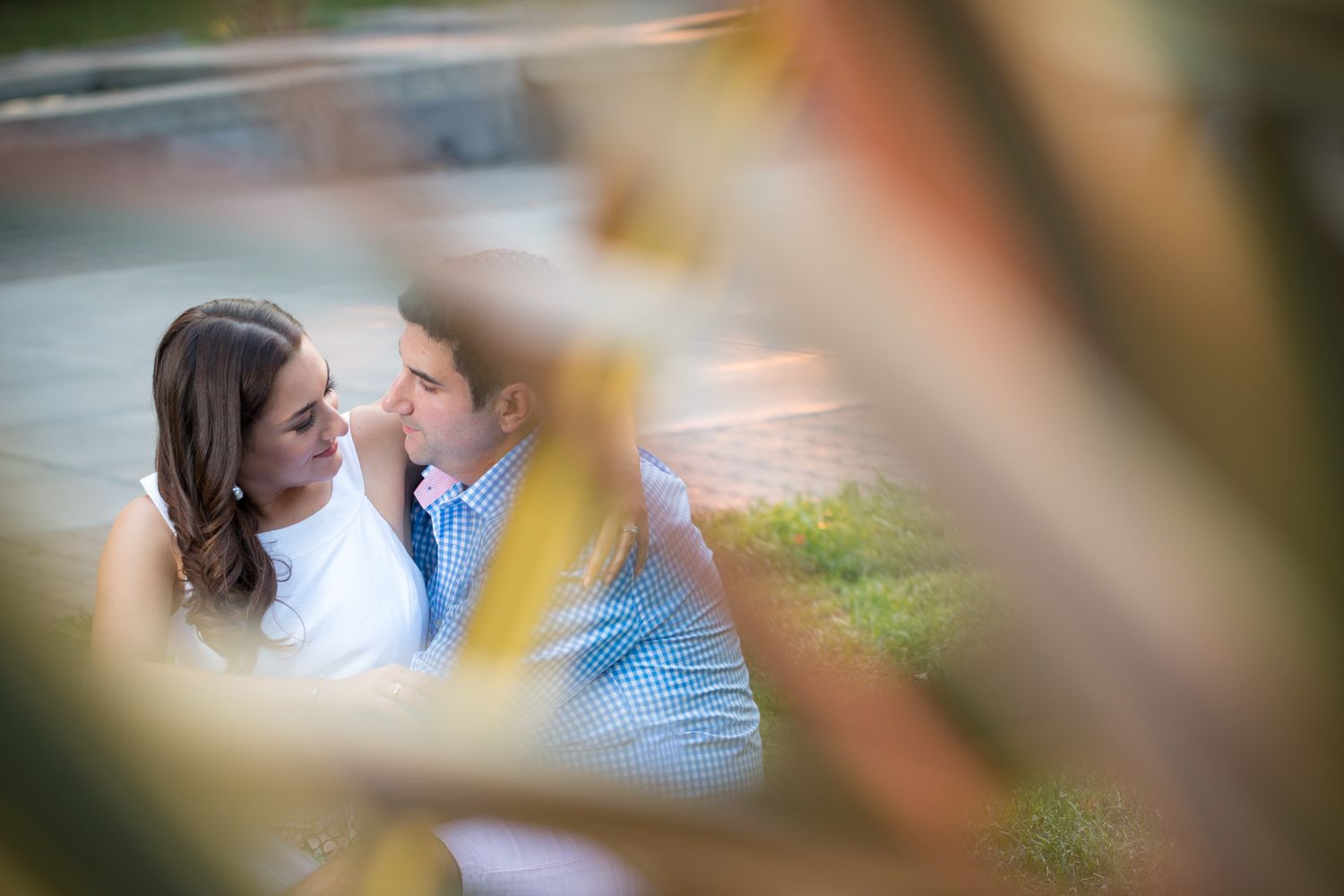 A collection of romantic engagement photos taken through tree branches with soft bokeh effects and natural outdoor lighting.
