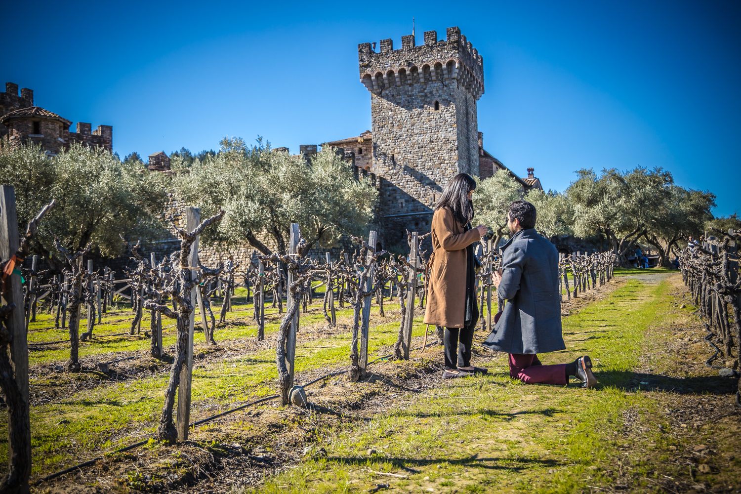 Ancient stone castle tower stands among olive trees under bright blue sky in Spanish countryside.