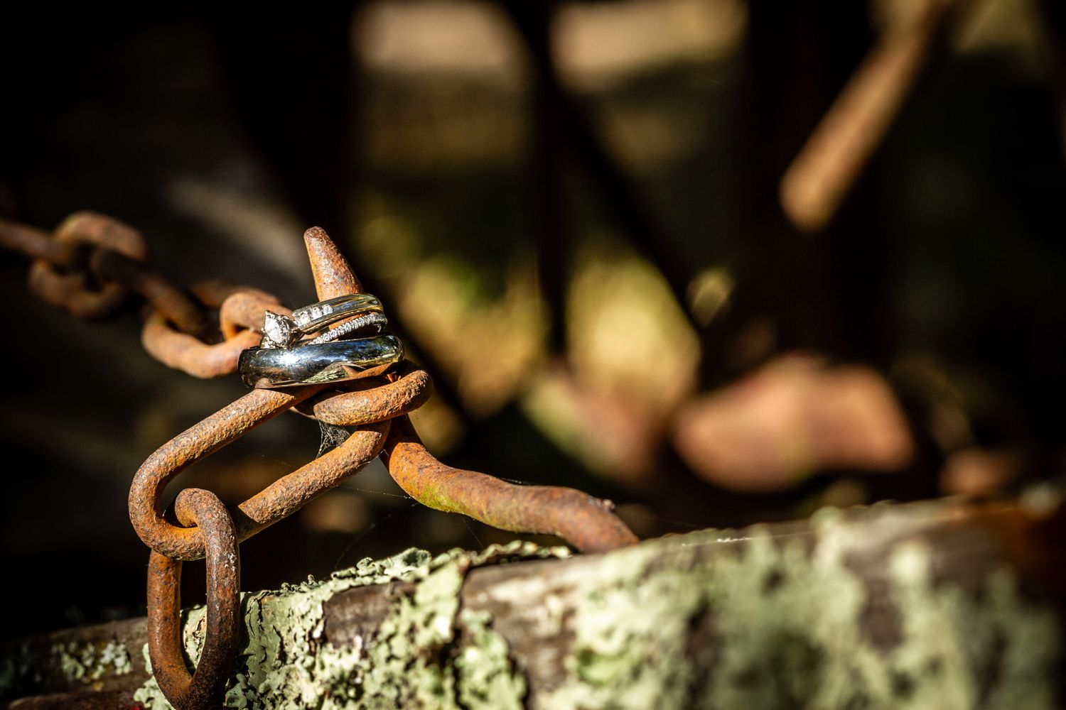 Close-up of rusty chain and padlock on weathered wood with blurred natural background.