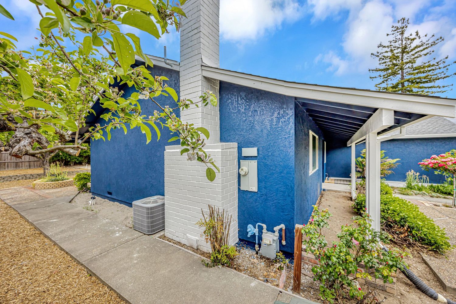 Modern blue house exterior with white trim and drought-resistant landscaping.