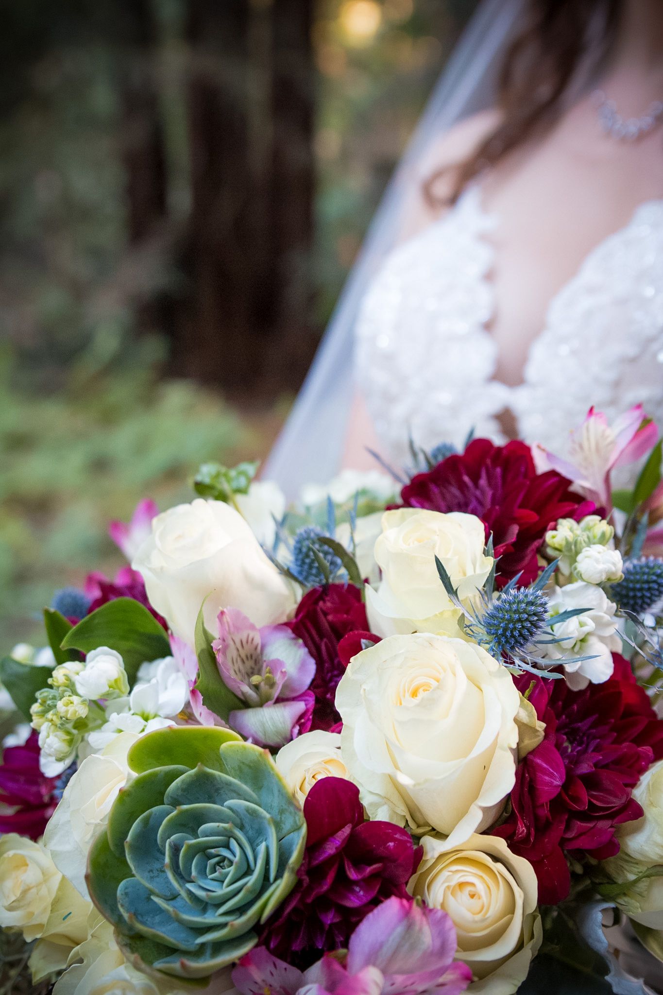 Beautiful wedding bouquet with white roses, burgundy flowers, and blue succulents.