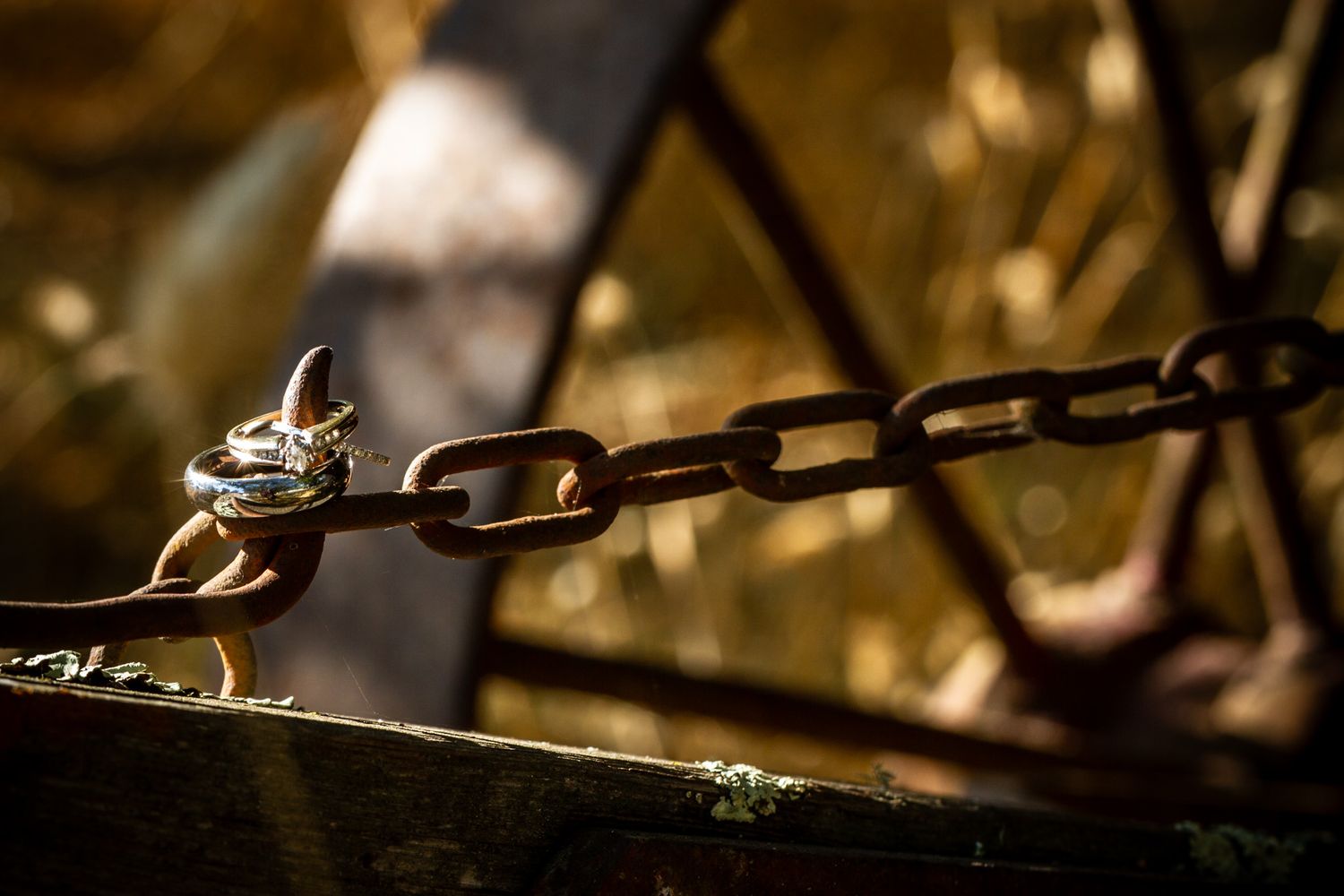 A close-up macro shot of an old rusty chain link in warm golden lighting.