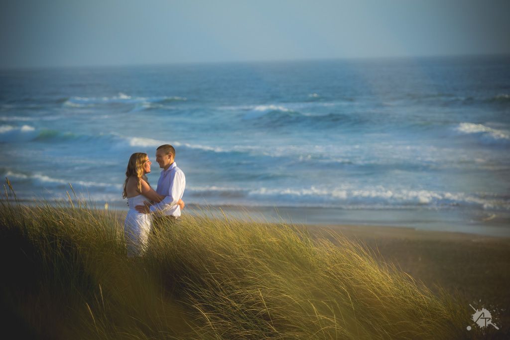 A serene oceanfront scene shows tall beach grass swaying with waves crashing against the shoreline at dusk.