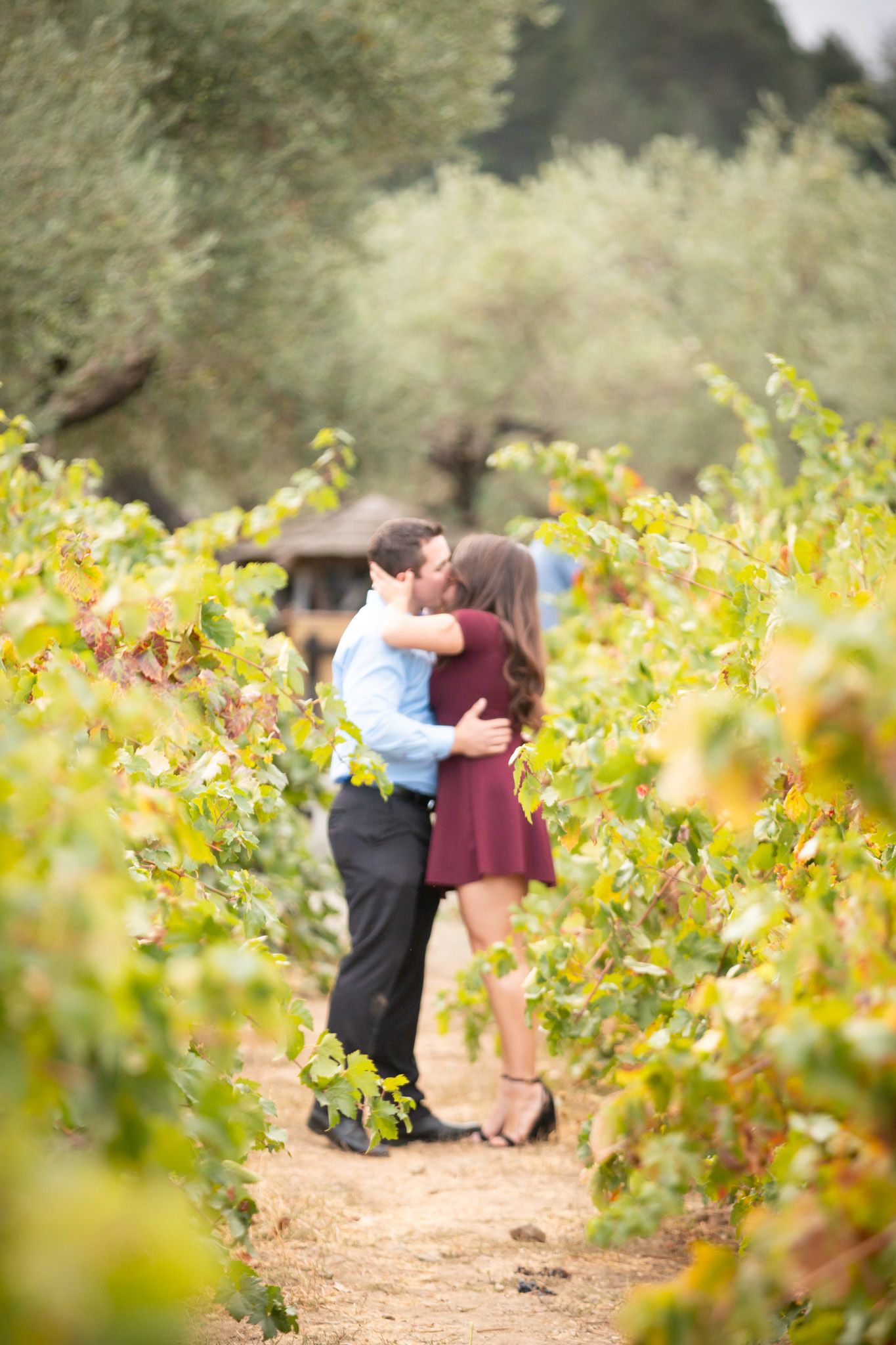 Couple embracing in a vineyard surrounded by lush greenery and yellow flowers.